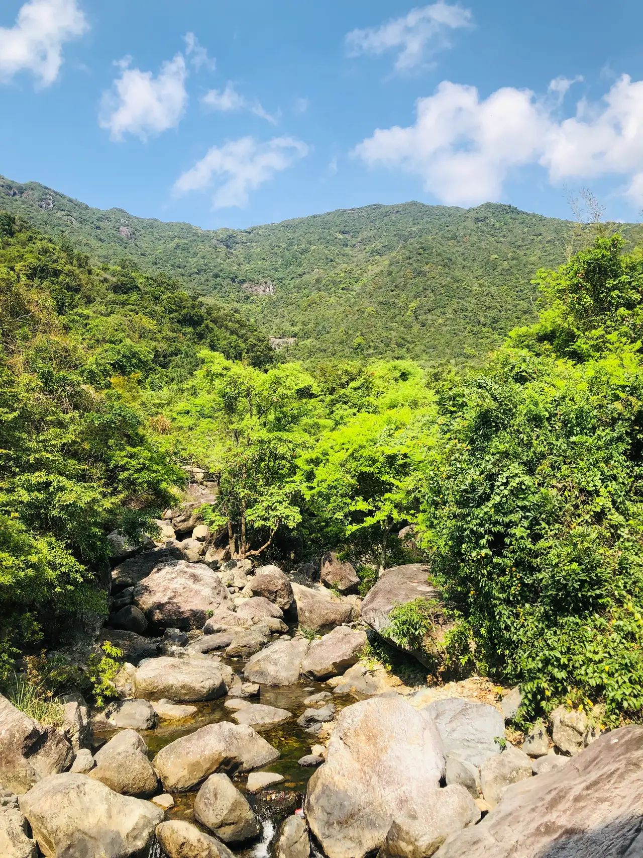 龙岩寺旅行图片 2