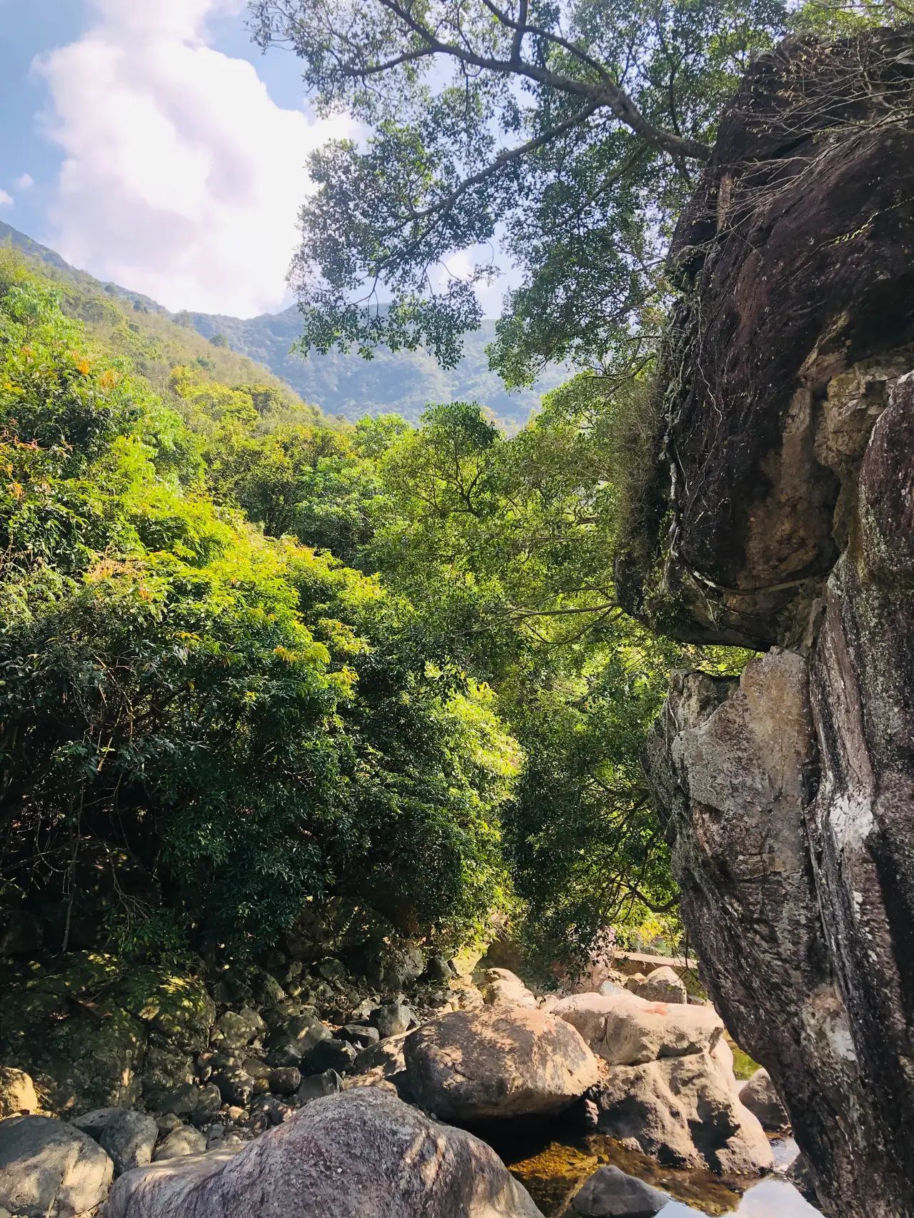 龙岩寺旅行图片 1