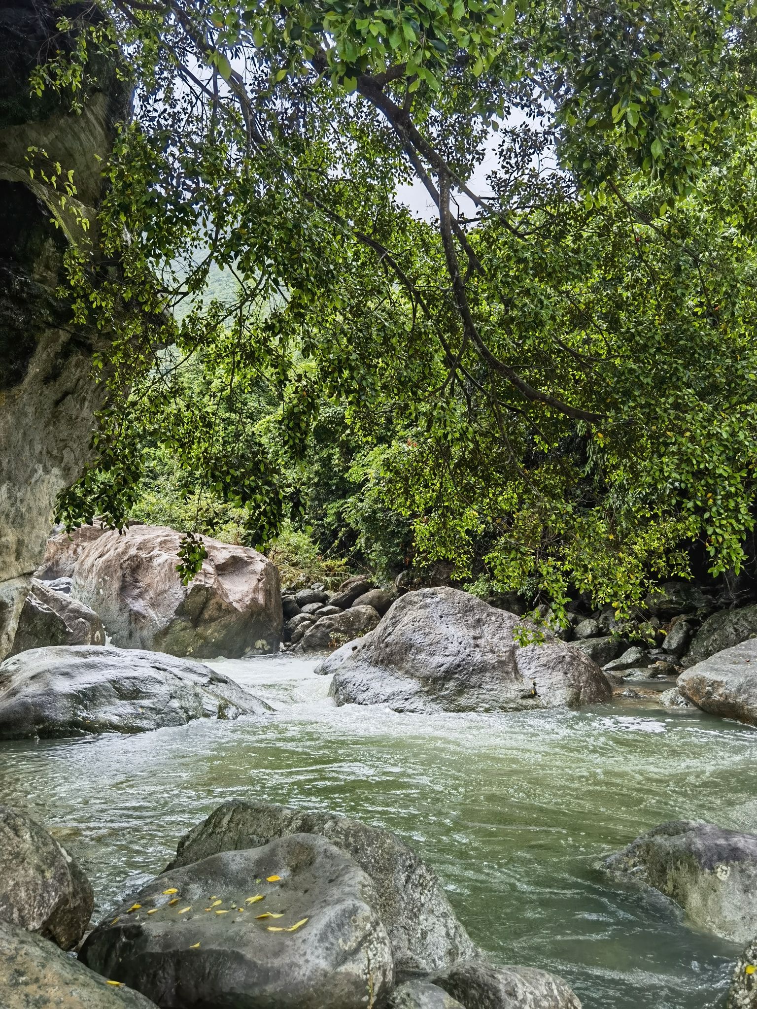 龙岩寺旅行图片 1