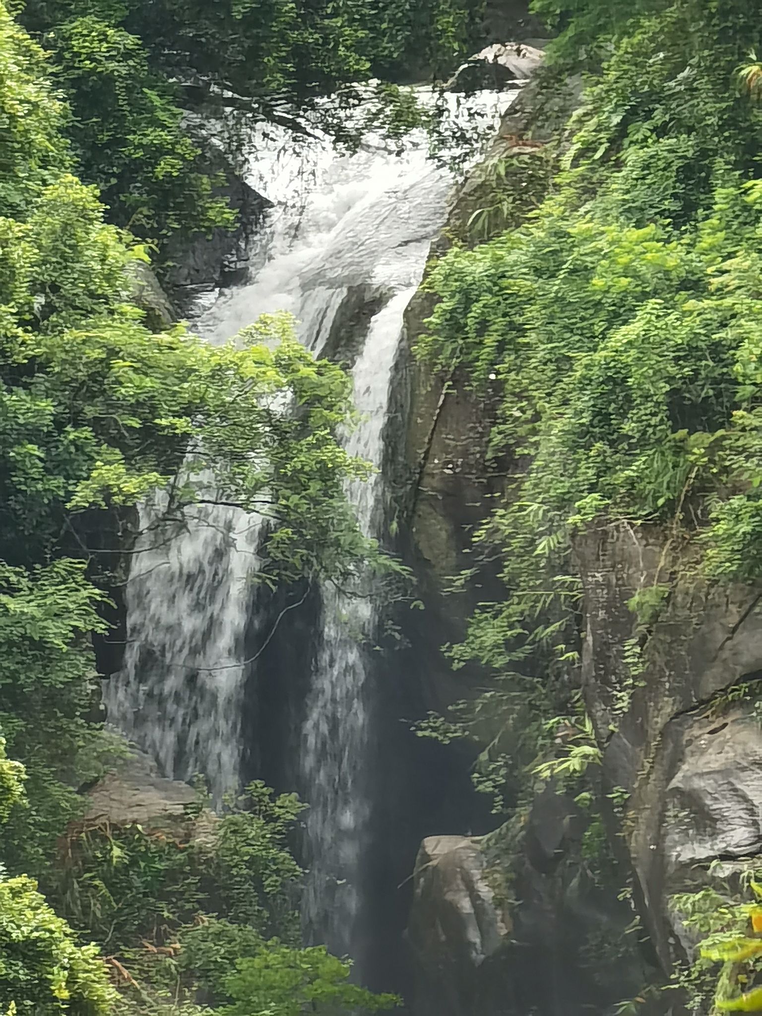 龙岩寺旅行图片 2