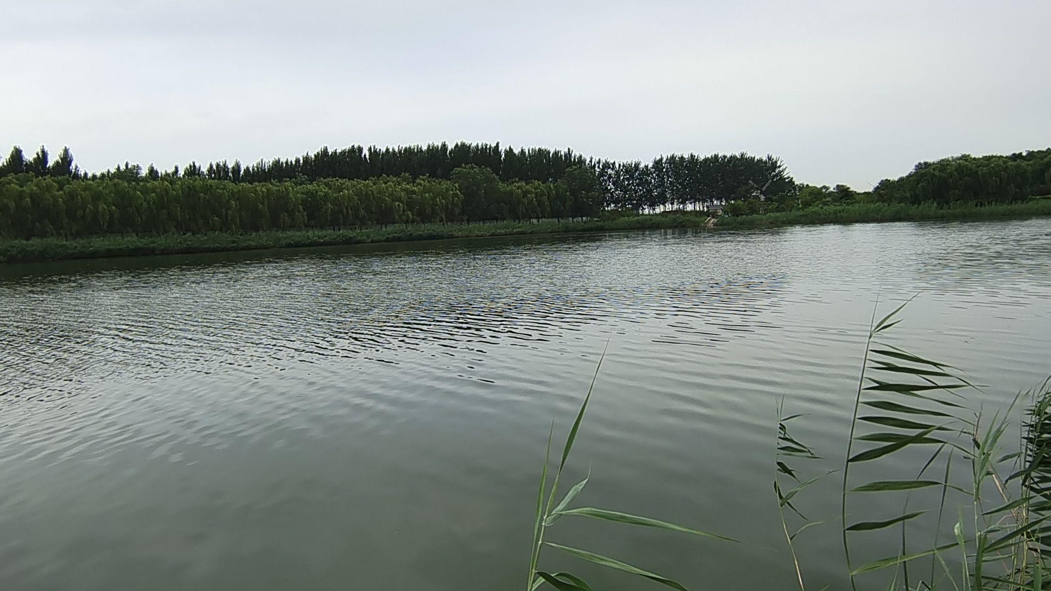 阜城湖公园旅行图片 2
