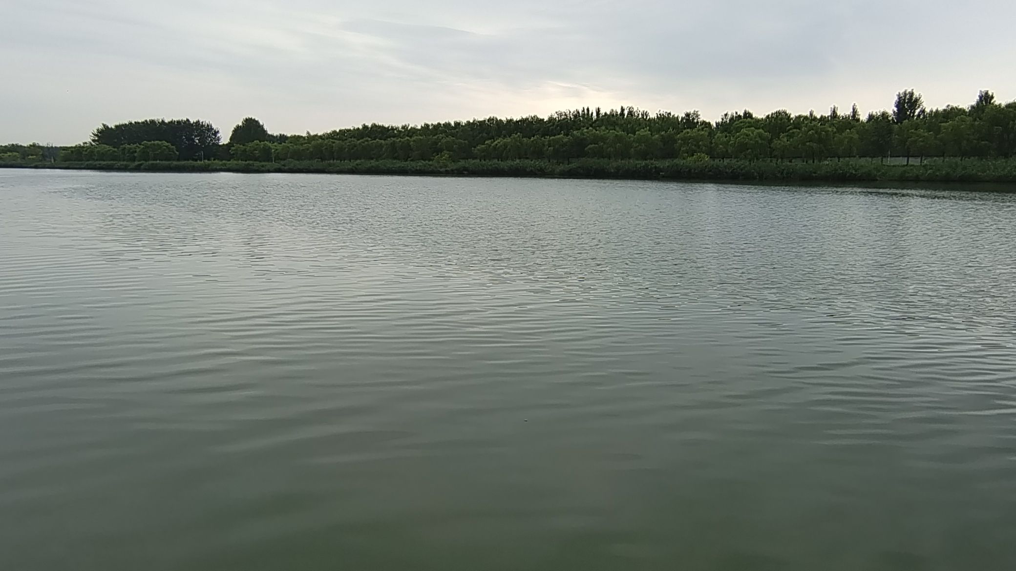 阜城湖公园旅行图片 3