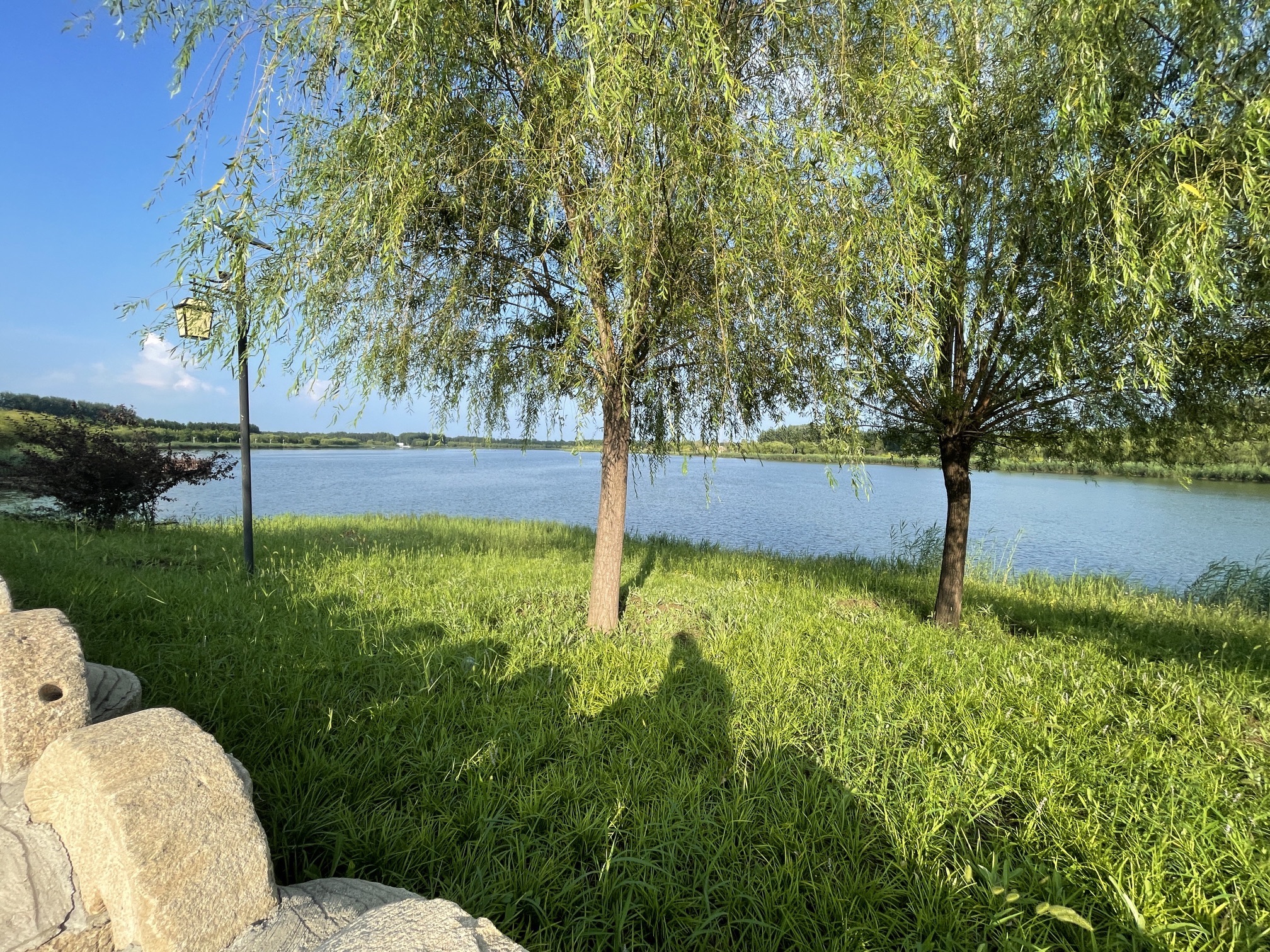阜城湖公园旅行图片 3