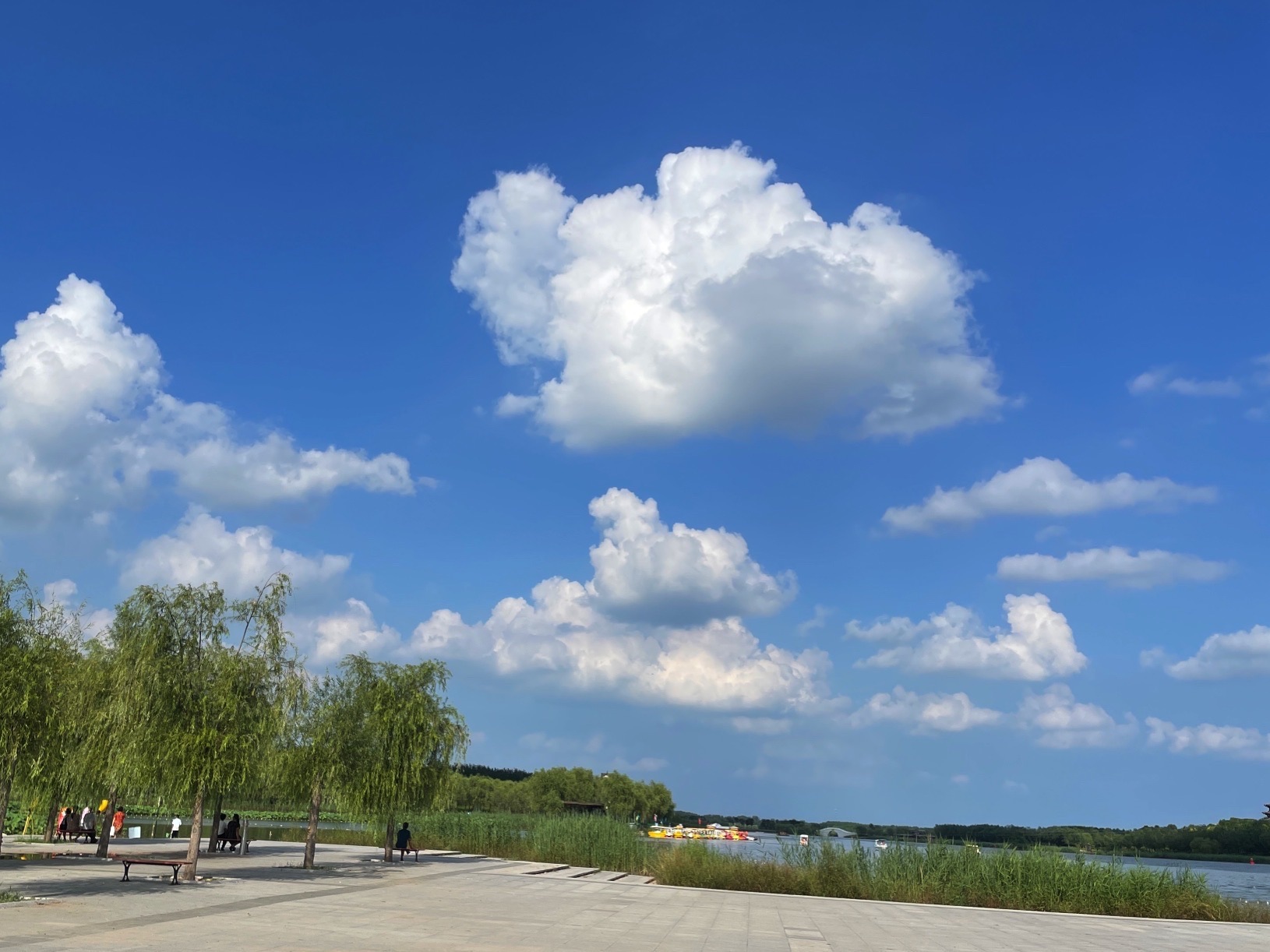 阜城湖公园