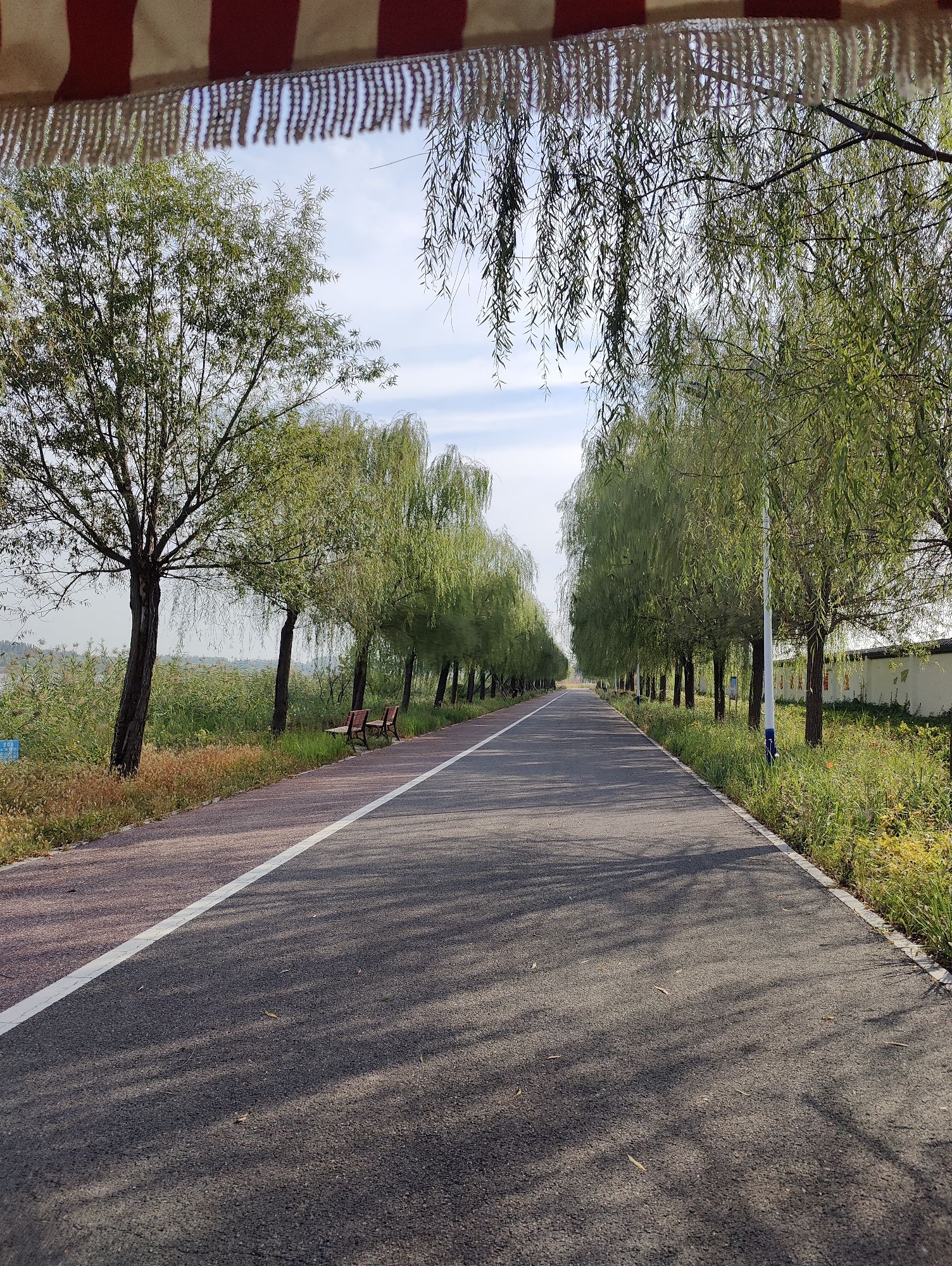 阜城湖公园旅行图片 2