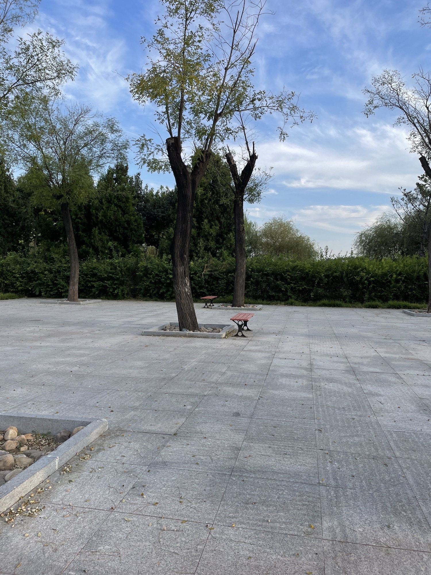 阜城湖公园旅行图片 2