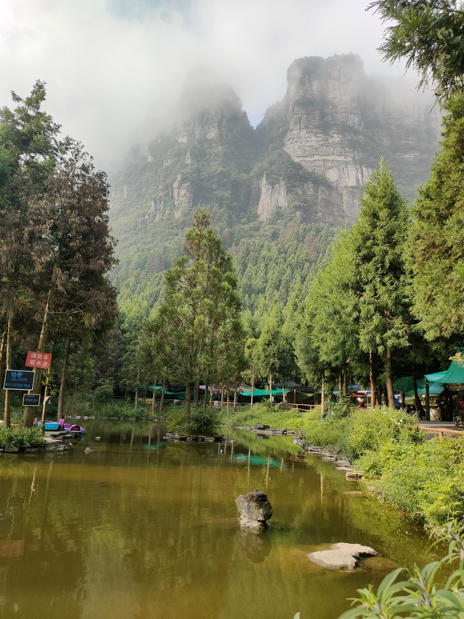重庆睡佛山森林公园