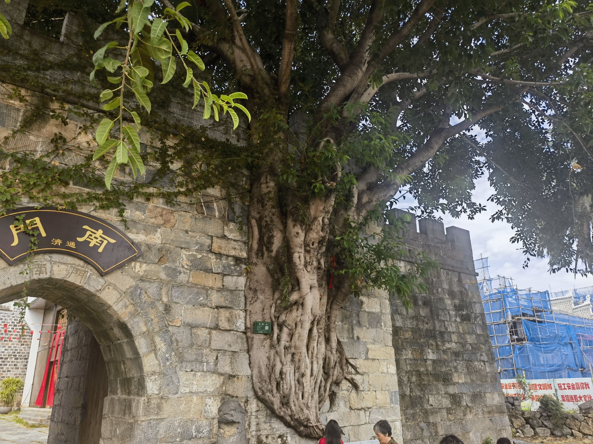泰昌公园旅行图片 2