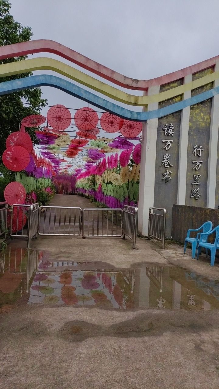 天子山花海旅行图片 1