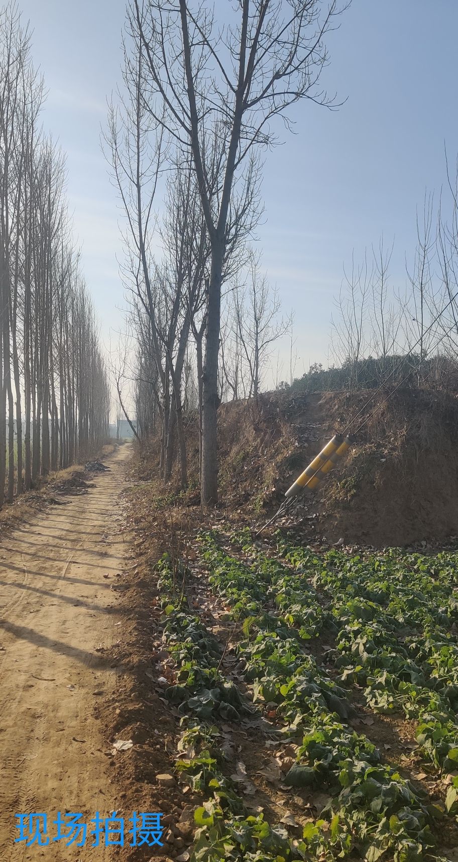 齐州城故址旅行图片 2