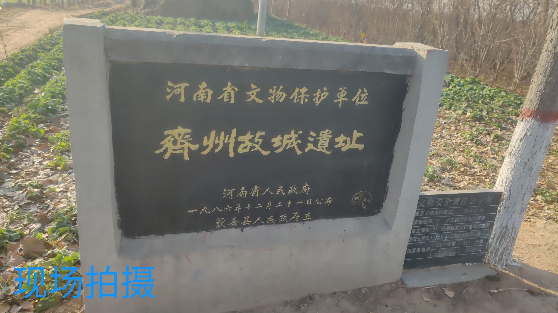 齐州城故址旅行图片 1