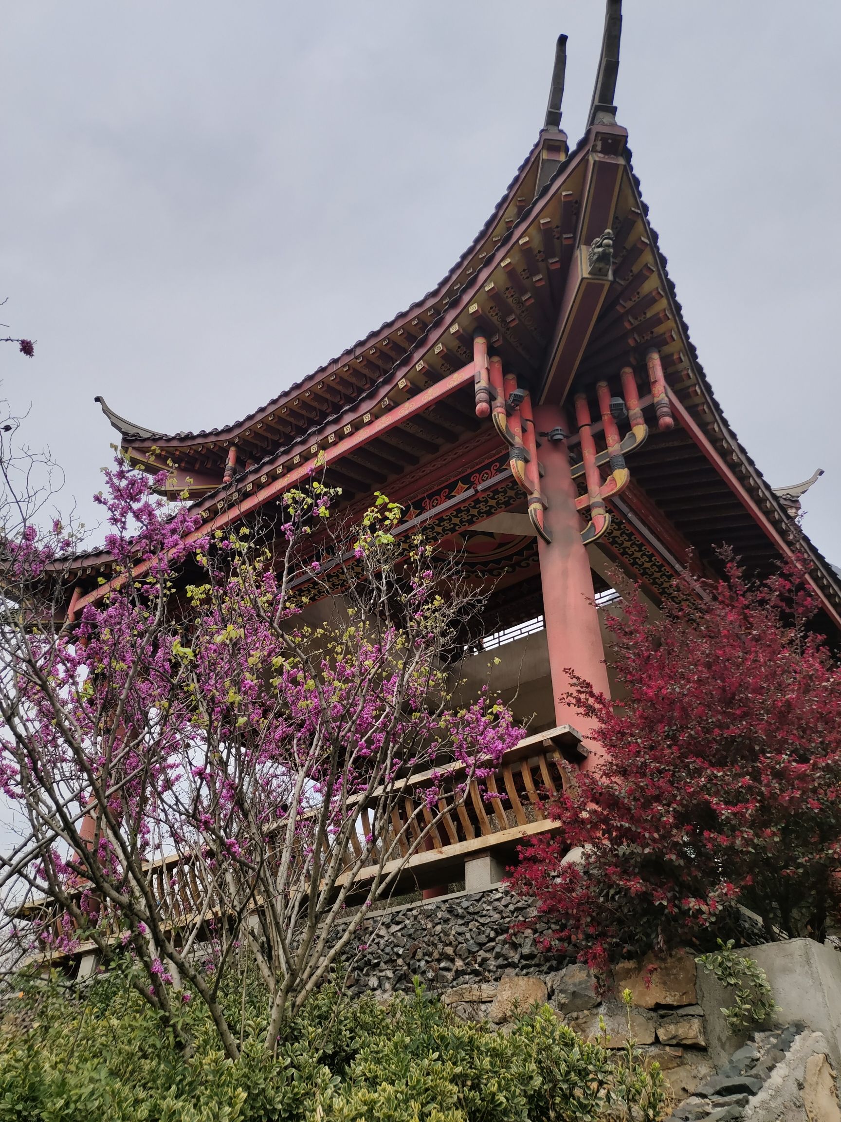 背峰山旅行图片 1