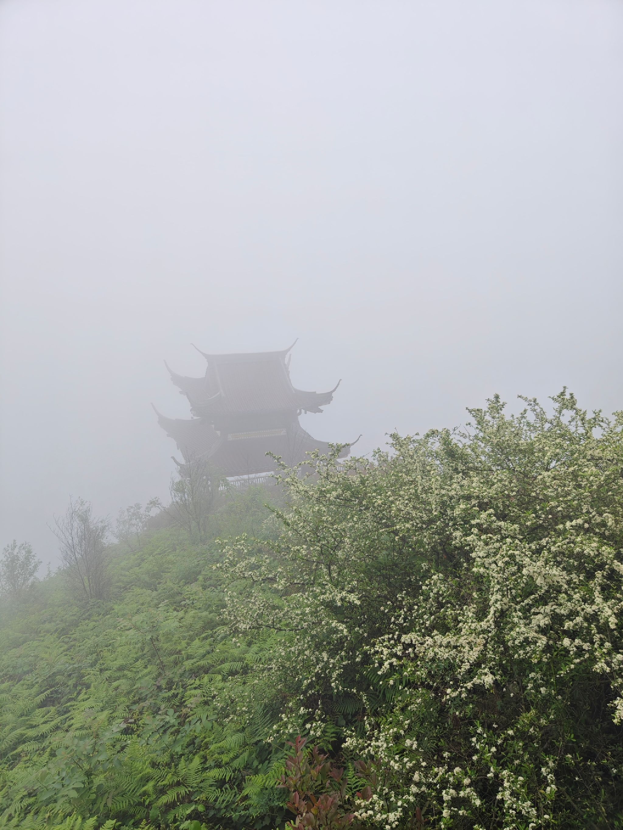 背峰山旅行图片 3