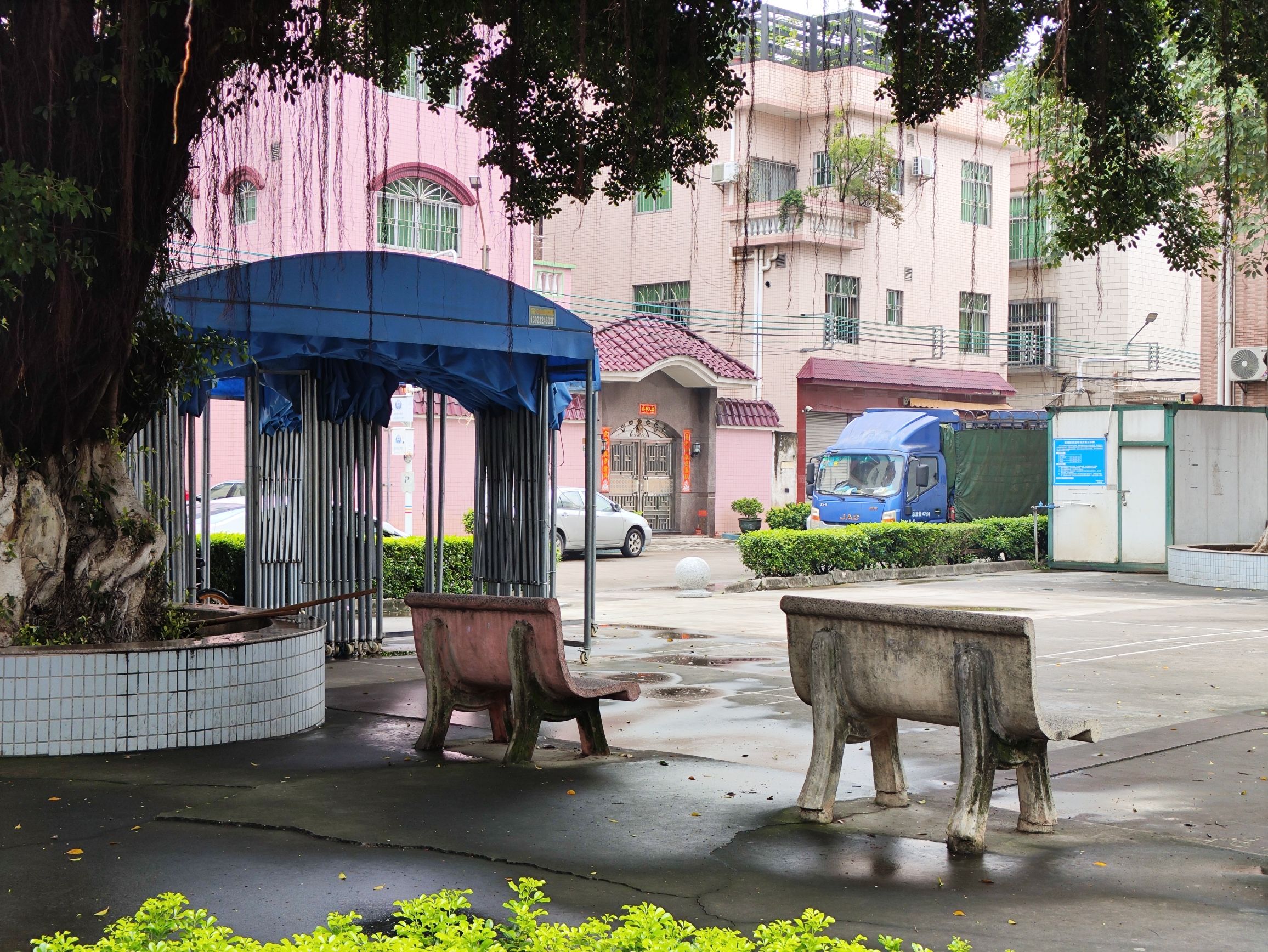 新塘公园旅行图片 3