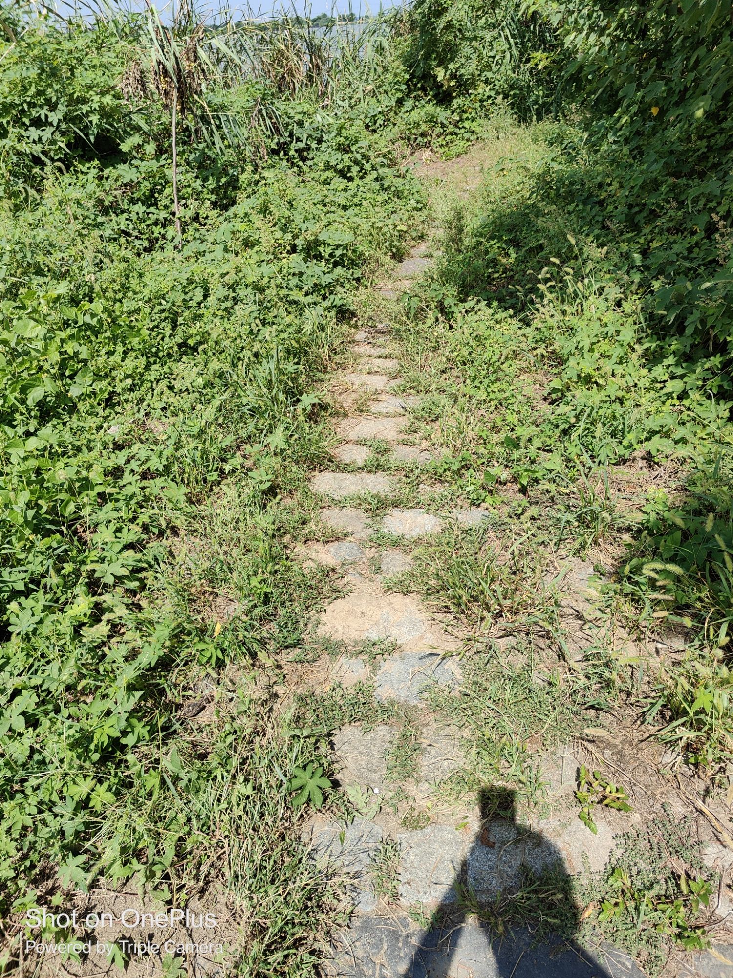 尿布滩风景区旅行图片 3