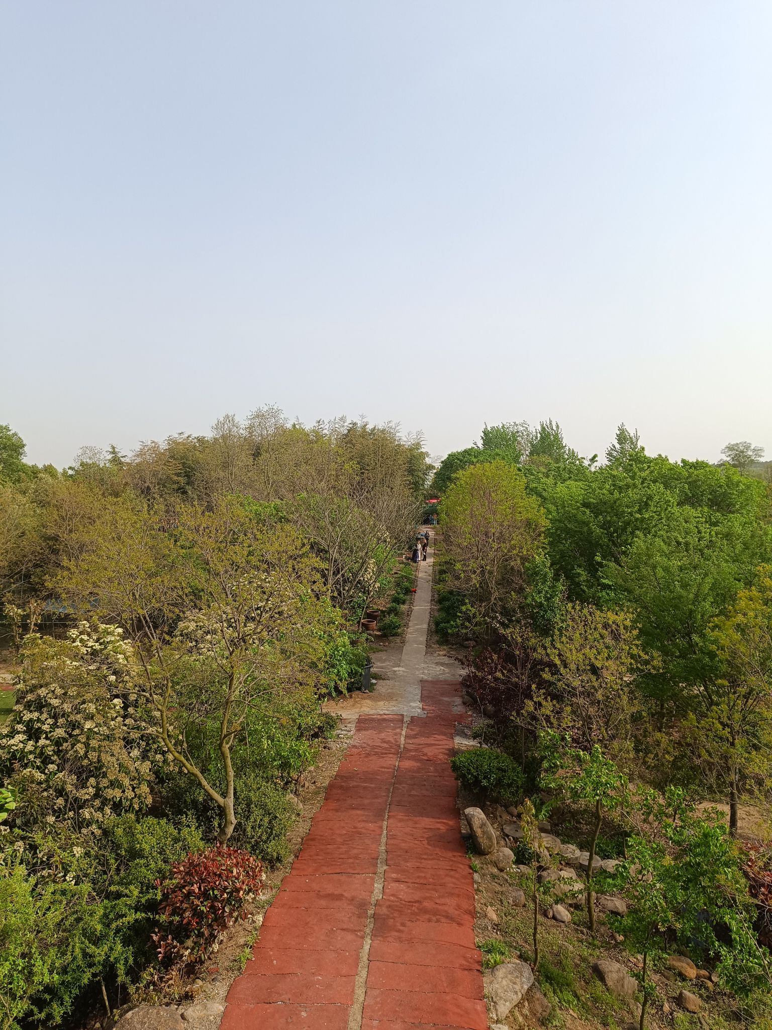 抹山森林公园旅行图片 2