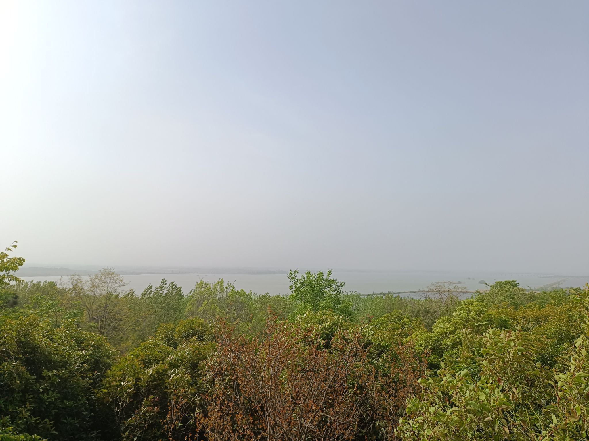 抹山森林公园旅行图片 1