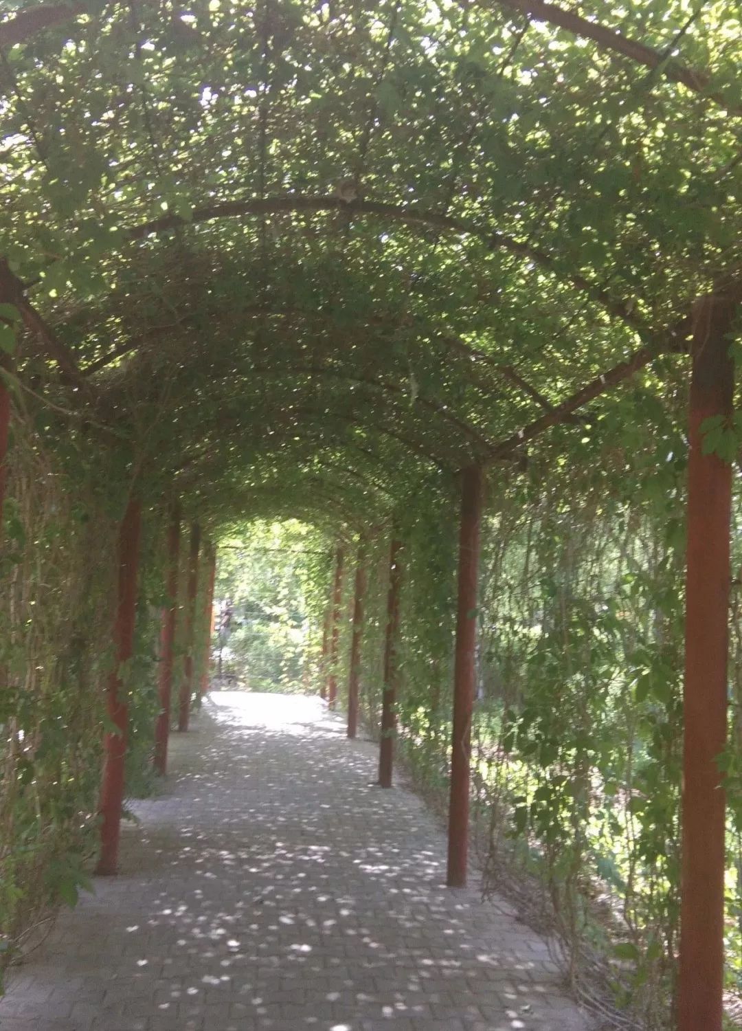 体育公园旅行图片 1