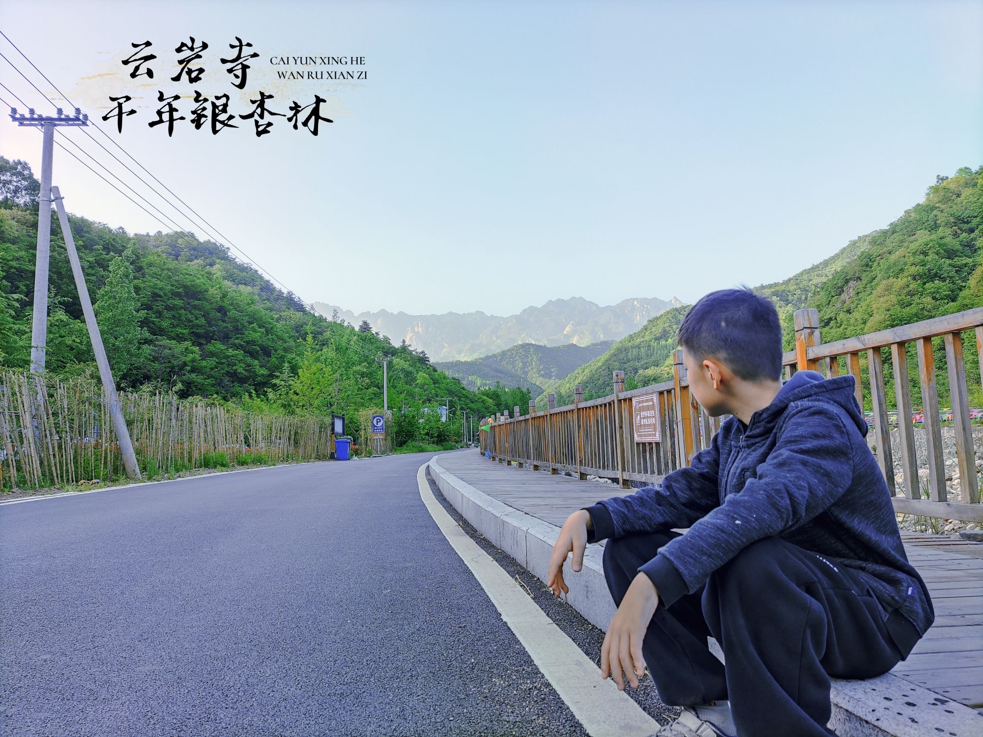 千年银杏林旅行图片 3
