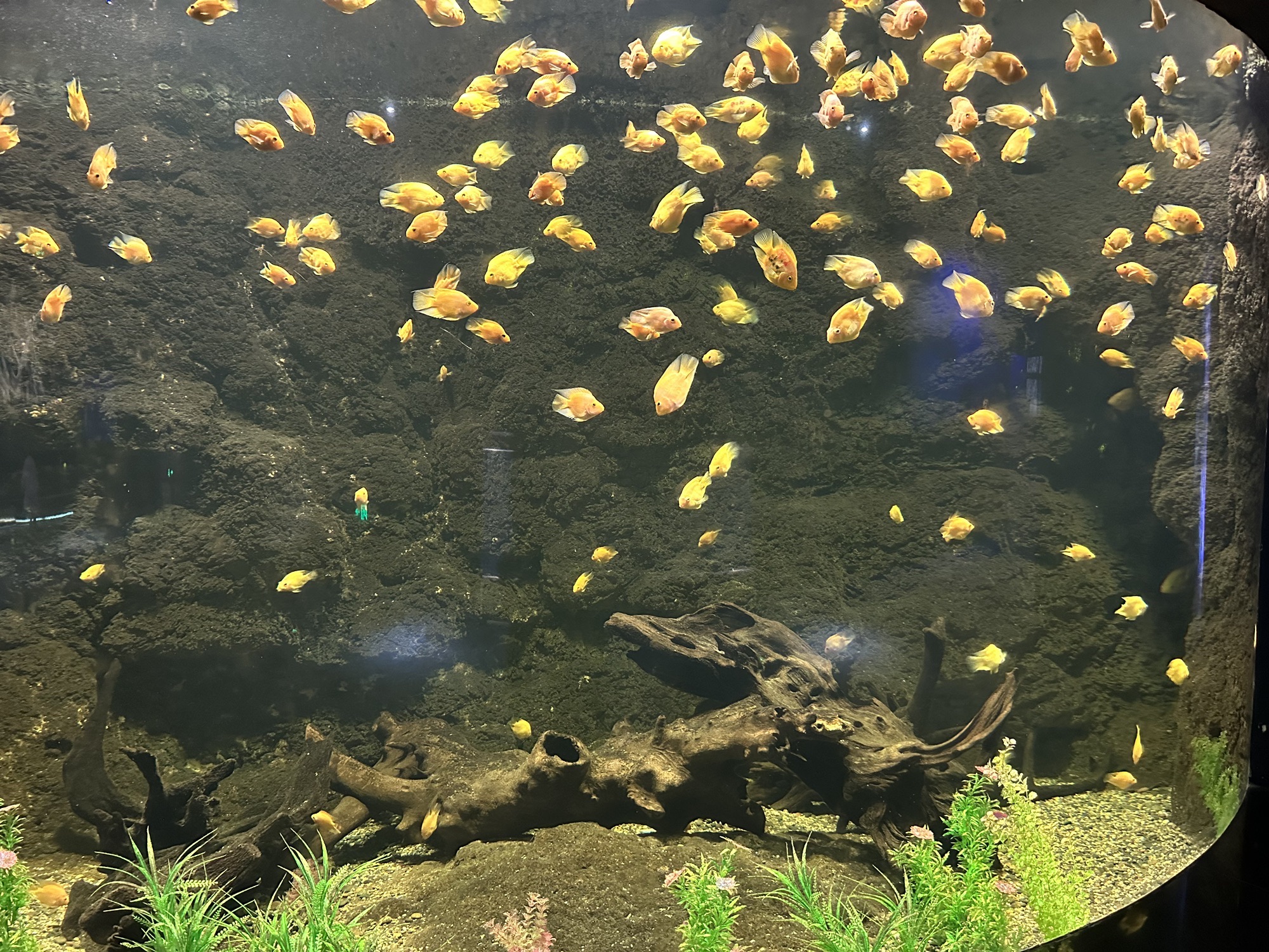 自游港·海洋世界旅行图片 1