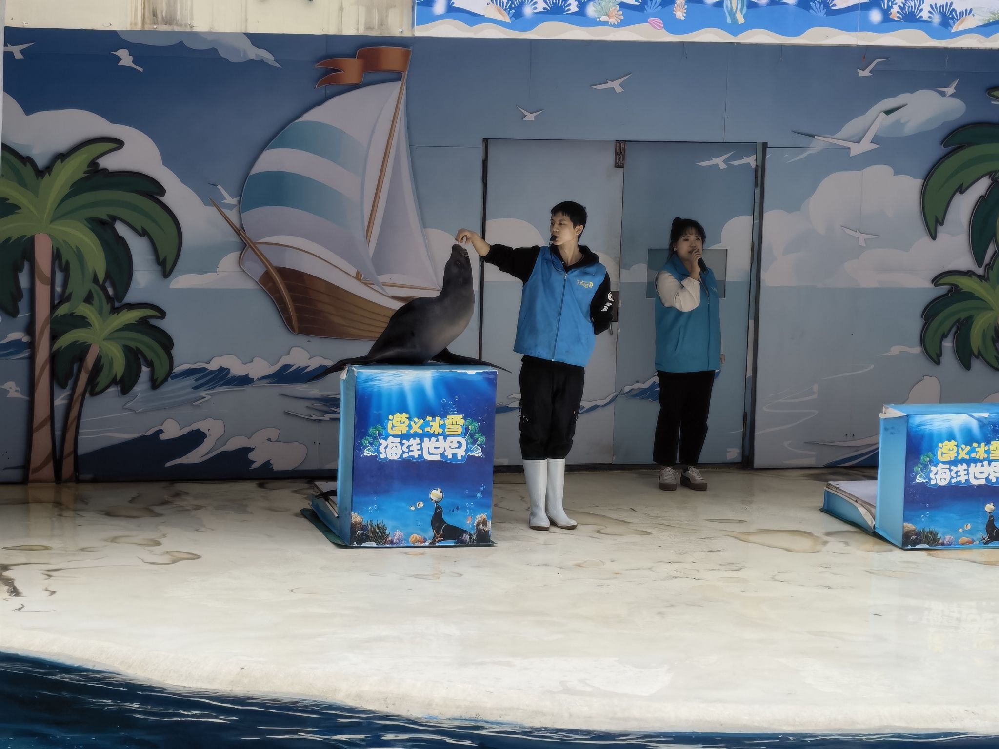 自游港·海洋世界旅行图片 1
