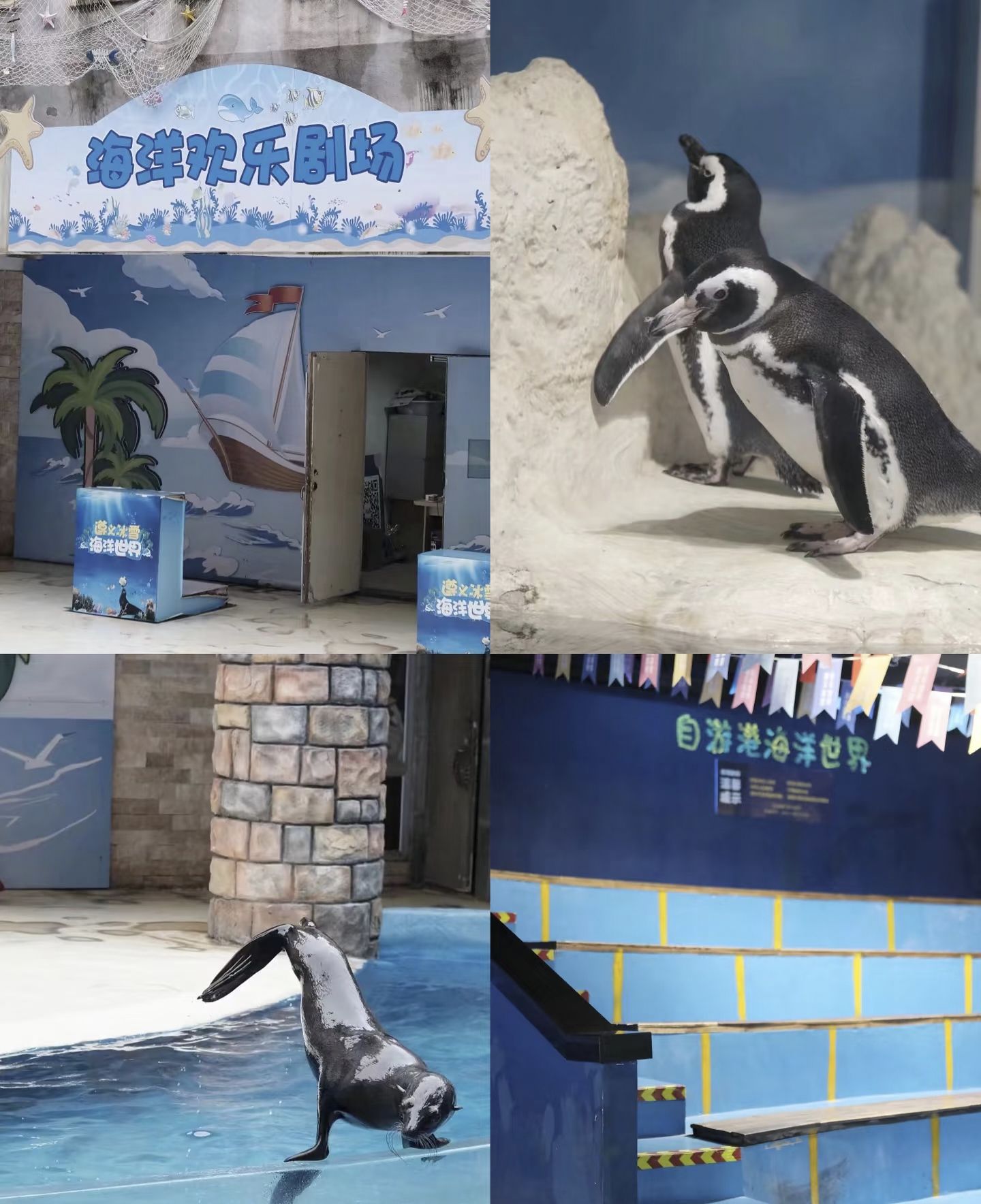 自游港·海洋世界旅行图片 3