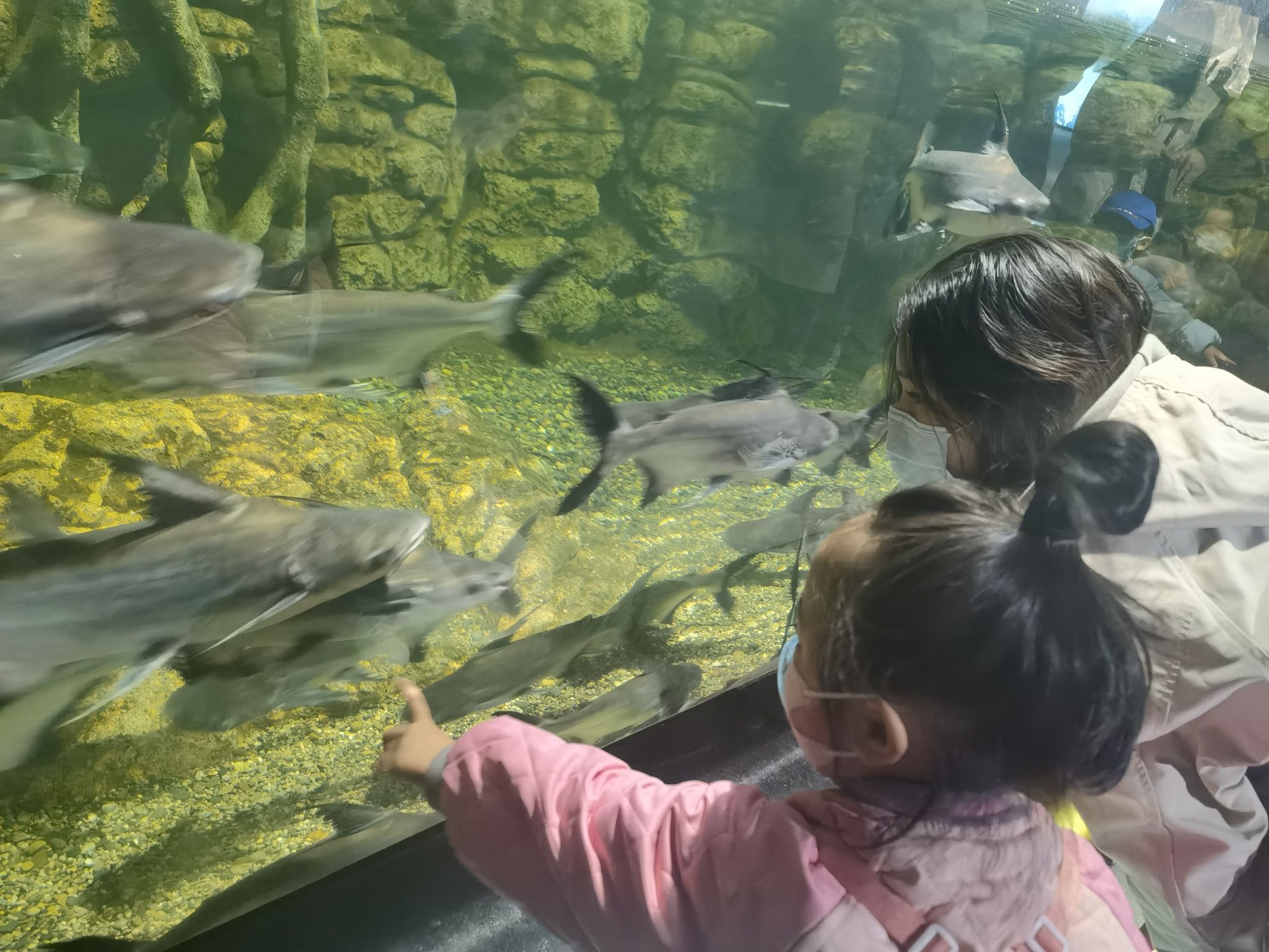 自游港·海洋世界旅行图片 3