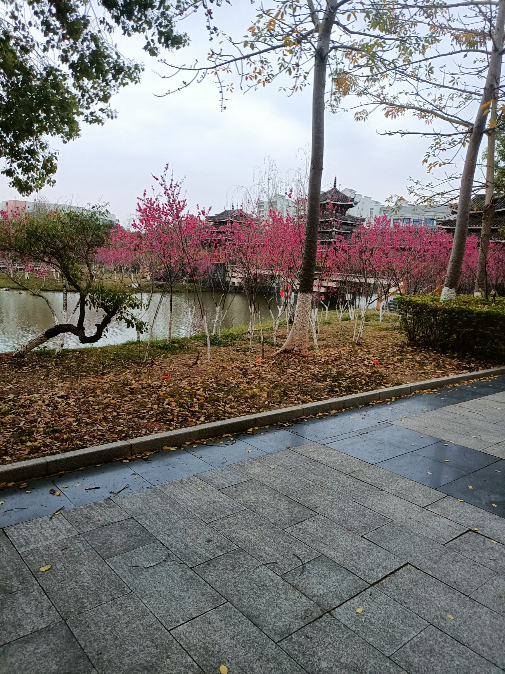 南宁不孤湖景区旅行图片 2