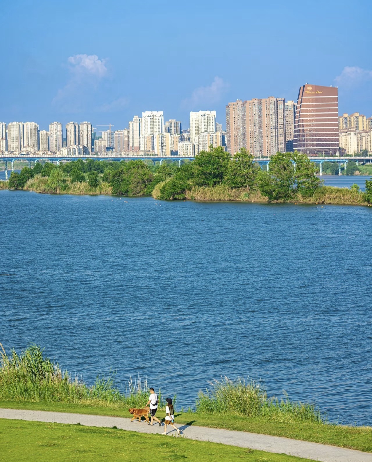 黄金江岸湿地公园