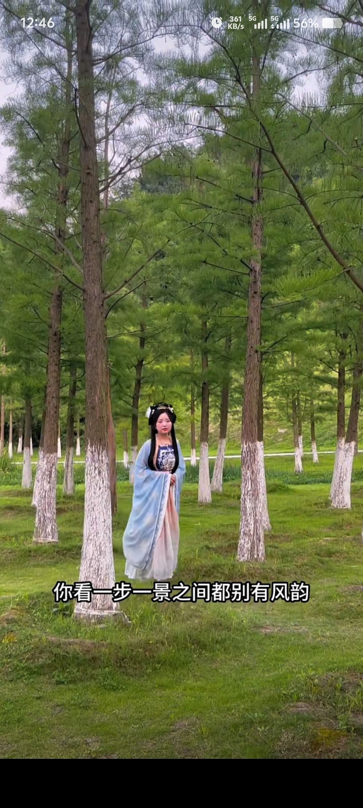 黄金江岸湿地公园旅行图片 1