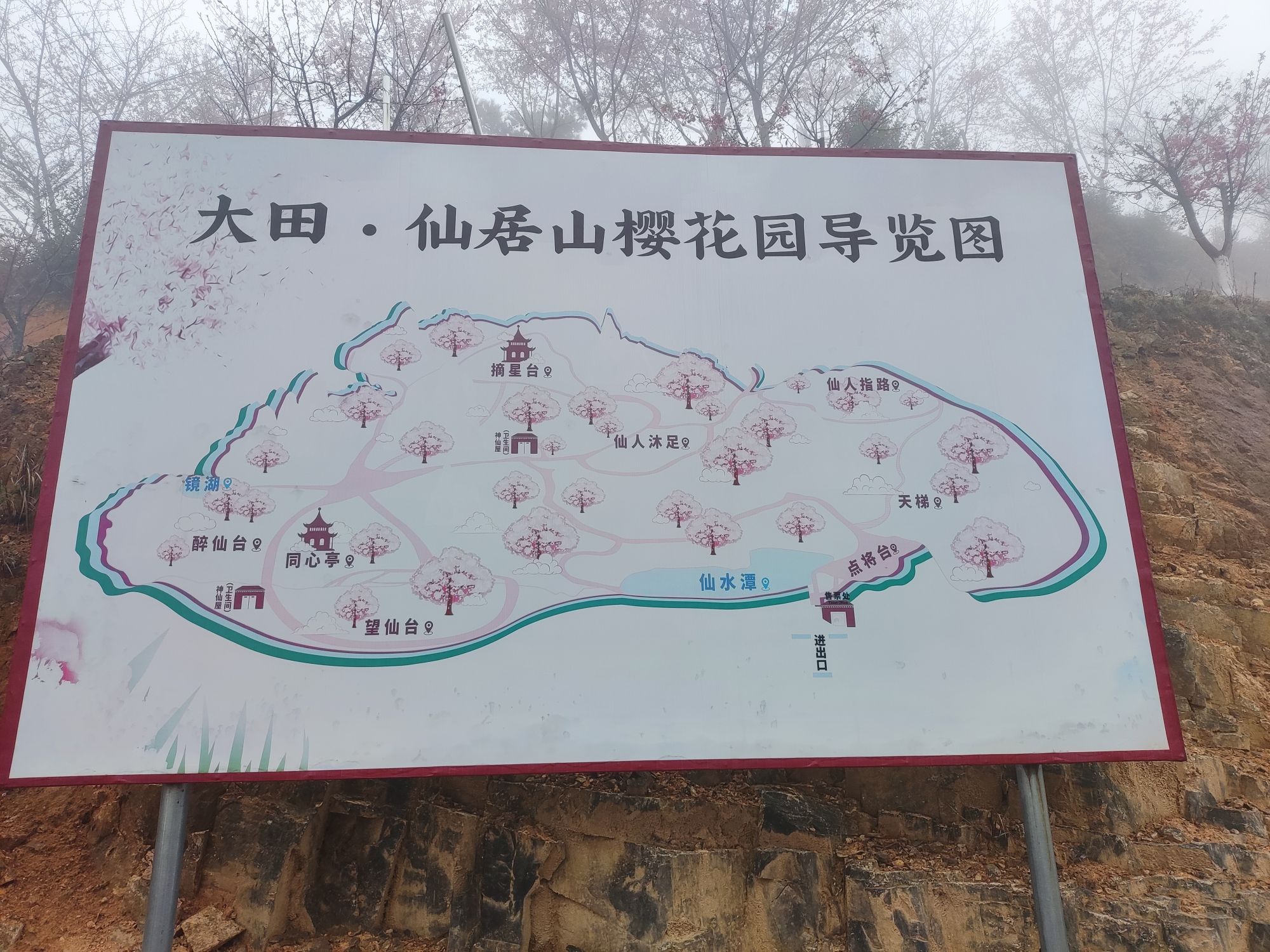 大田屏山·仙居山樱花园旅行图片 1