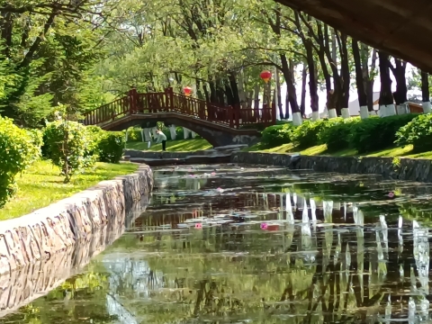 黑龙江省鹤山农场植物园旅行图片 3