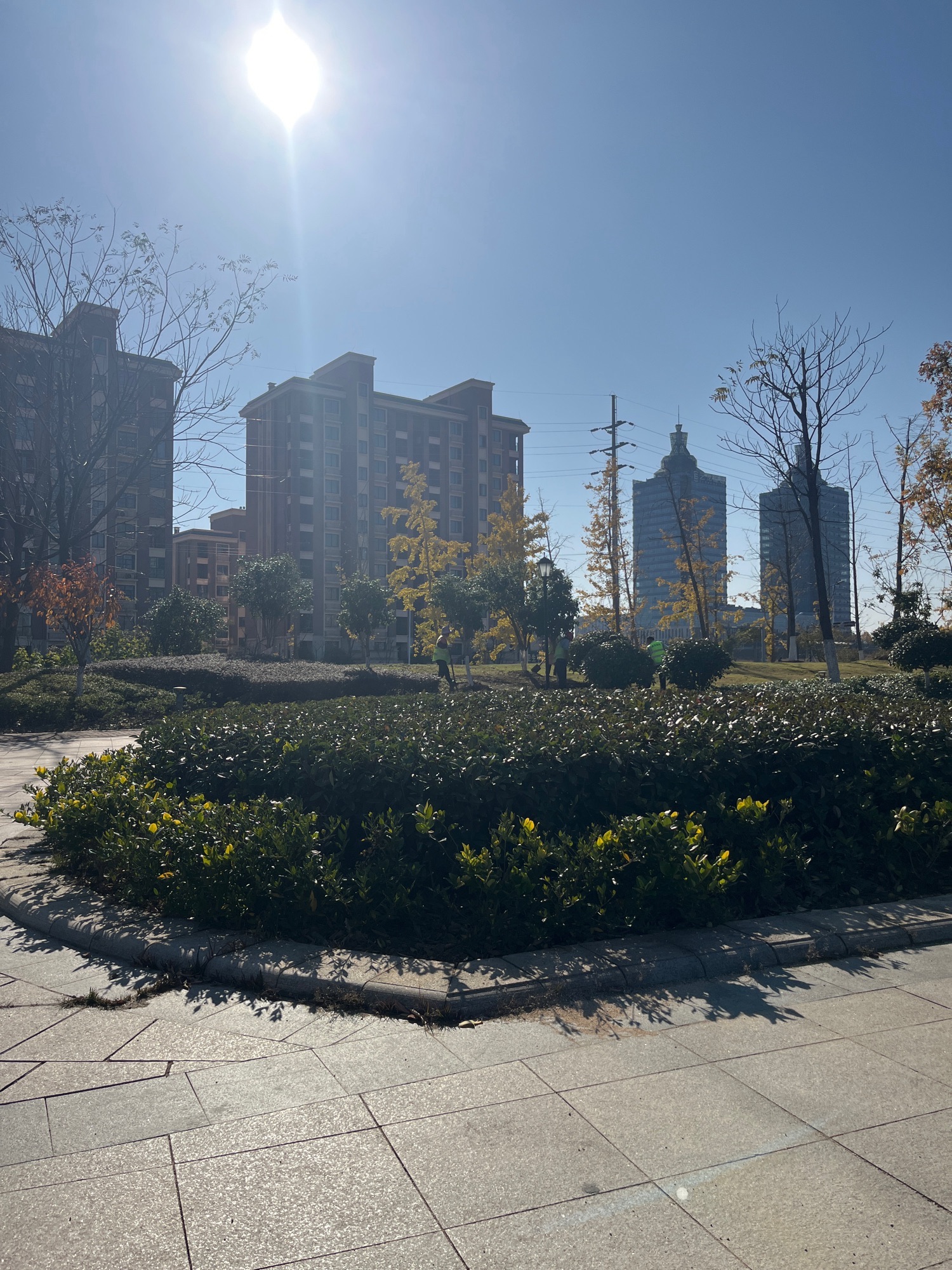 城南公园旅行图片 3