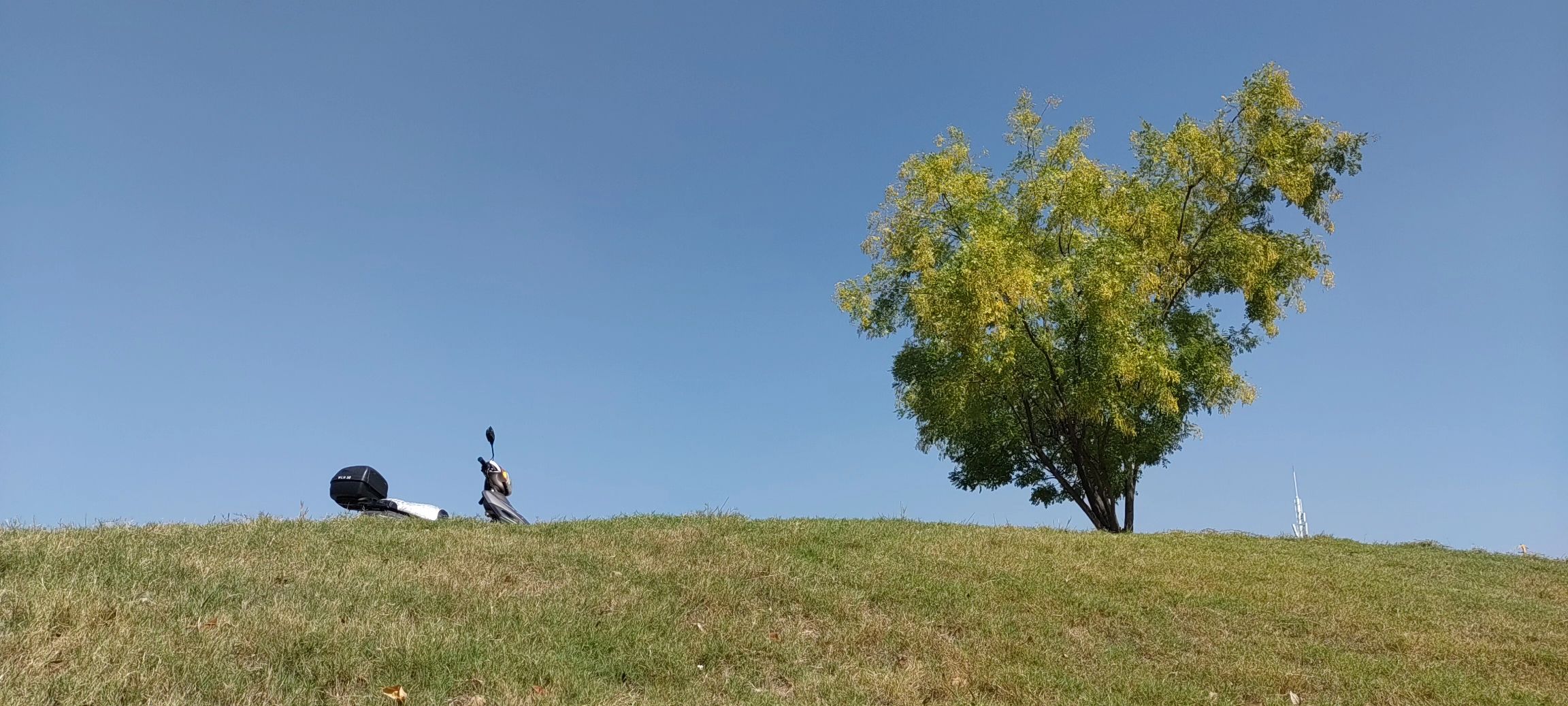城南公园旅行图片 1