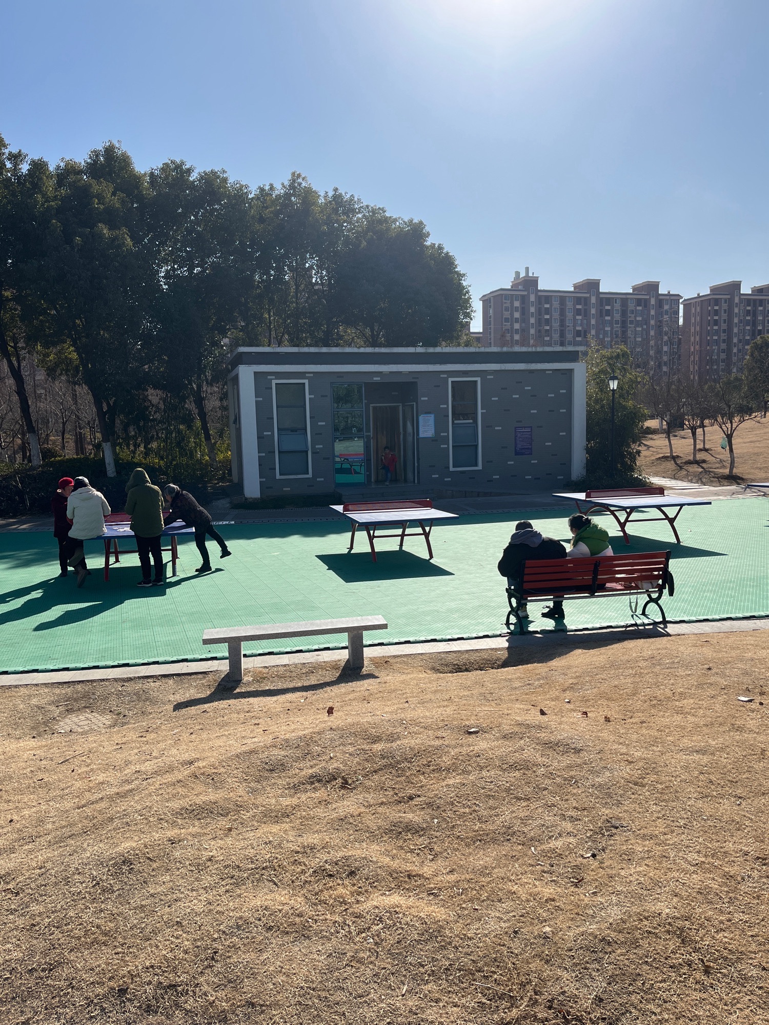 城南公园旅行图片 3