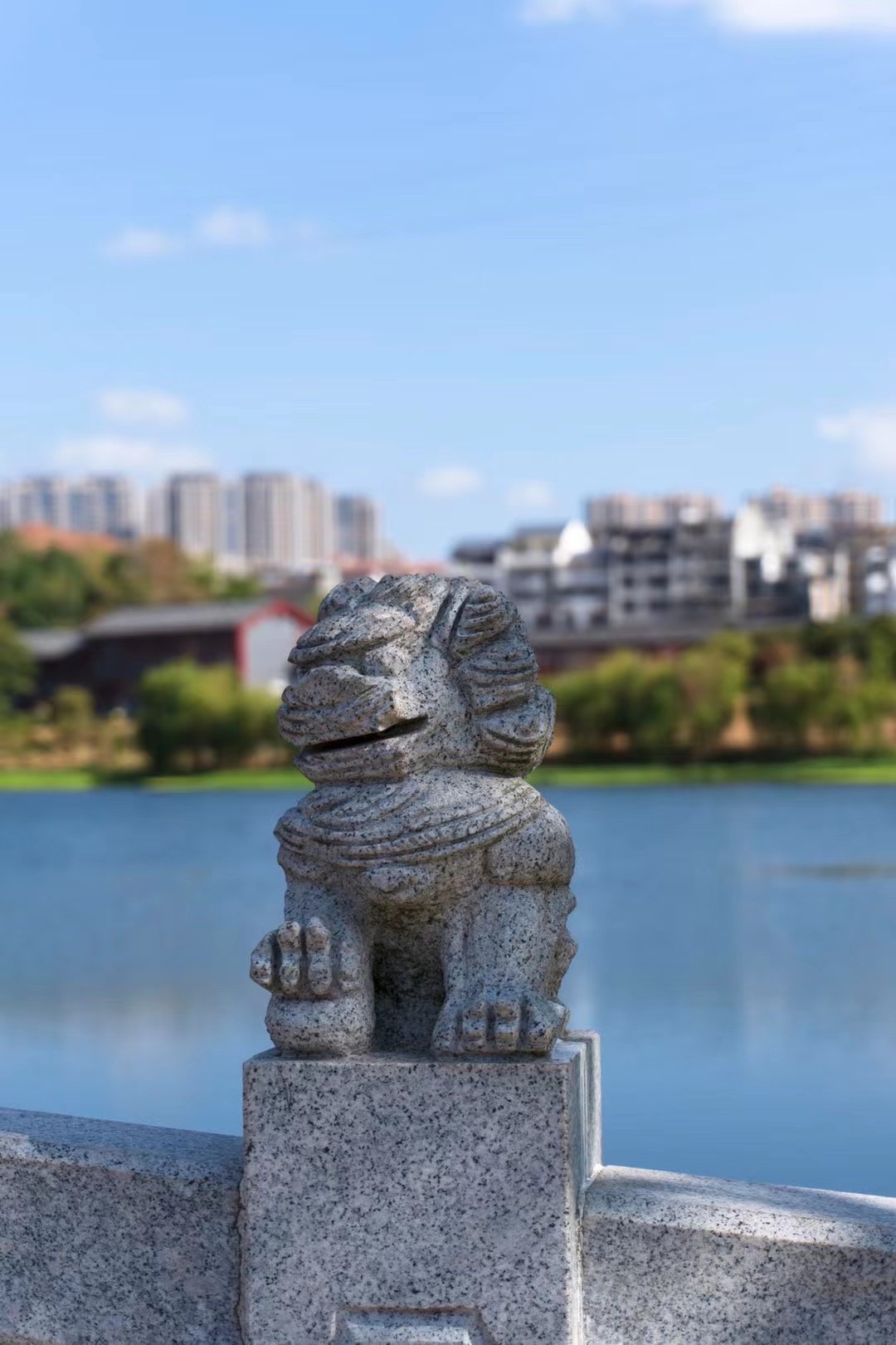 金凤梅园旅行图片 3