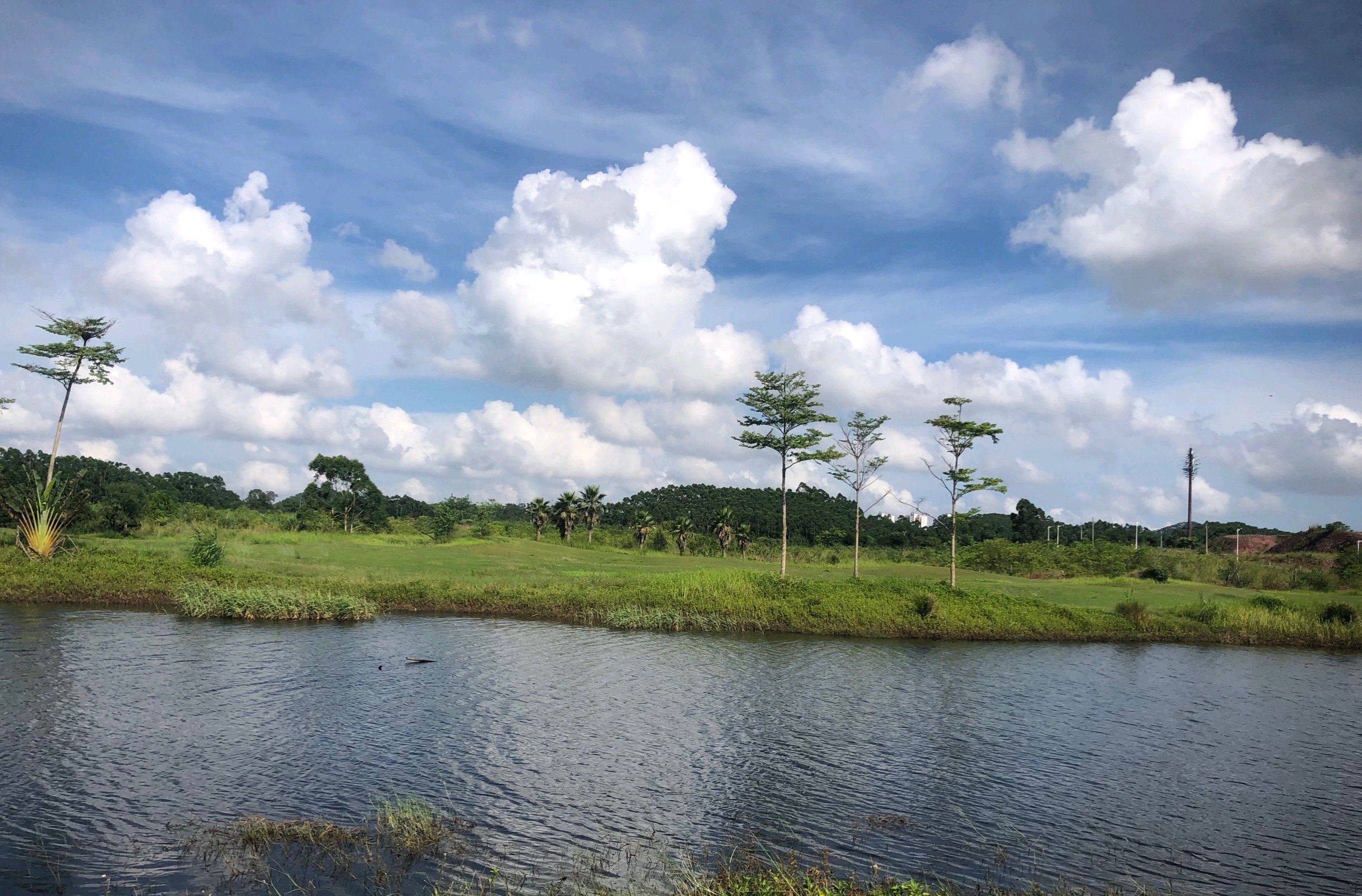 滨海公园旅行图片 1