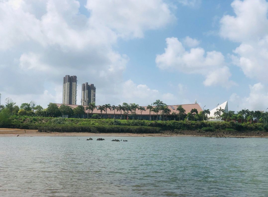 滨海公园旅行图片 3
