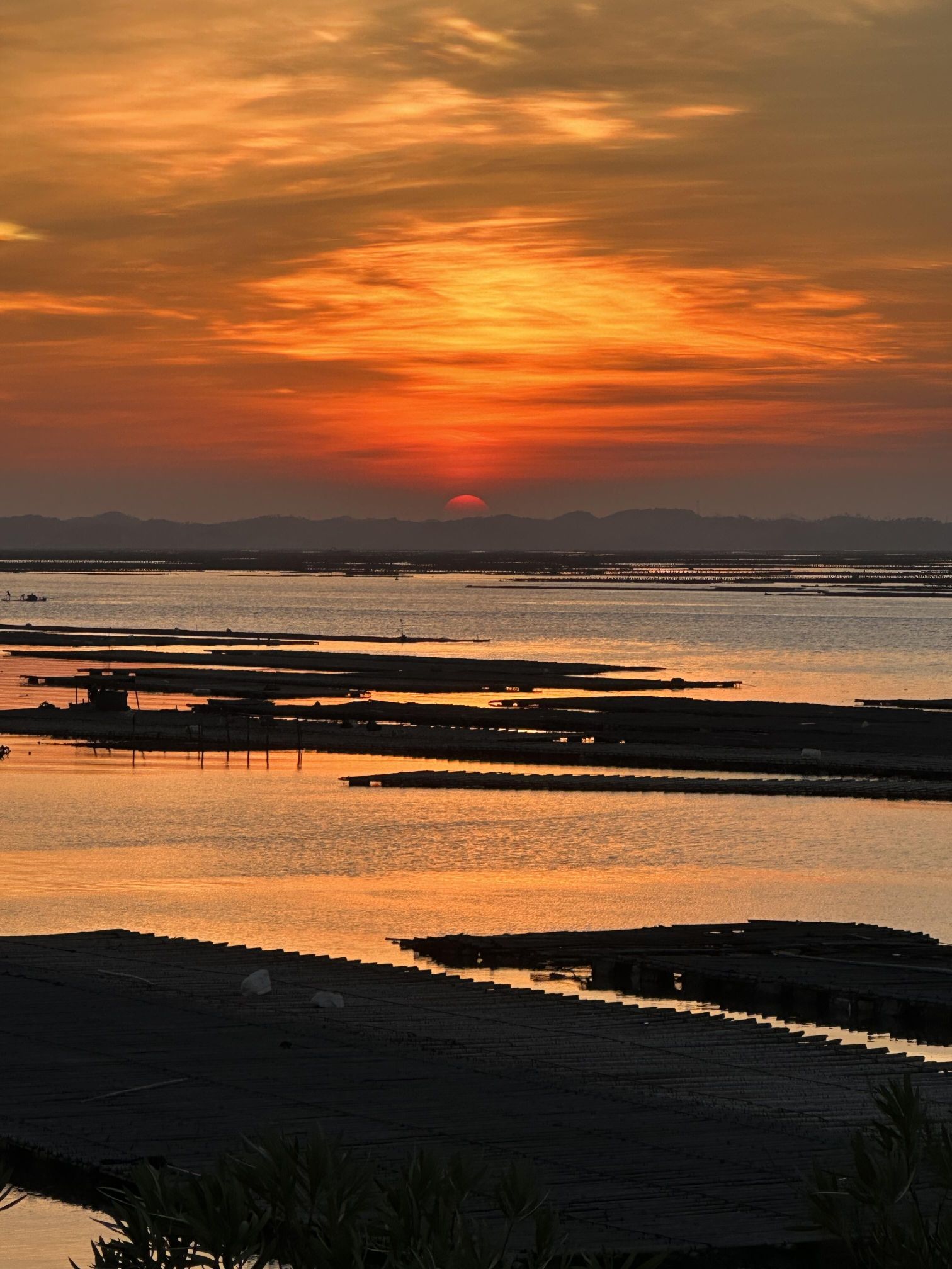滨海公园旅行图片 1