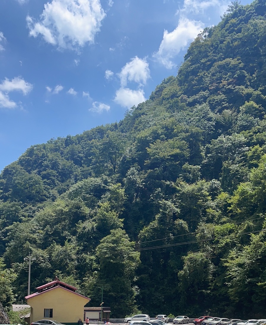 弄子乡村生态旅游区旅行图片 2