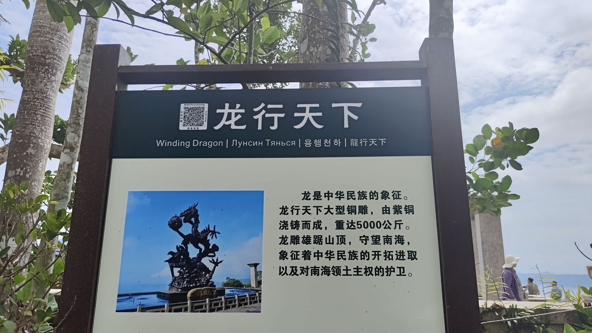 热带天堂森林公园-龙行天下