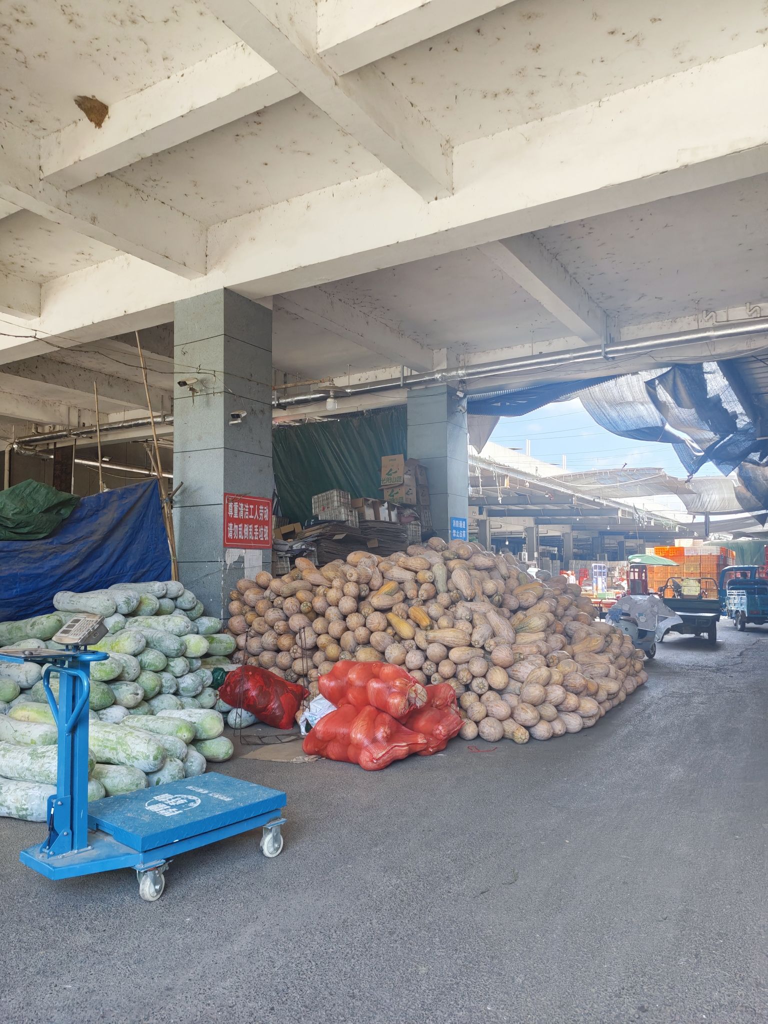 芜湖大地农副产品批发市场-果品批发交易区