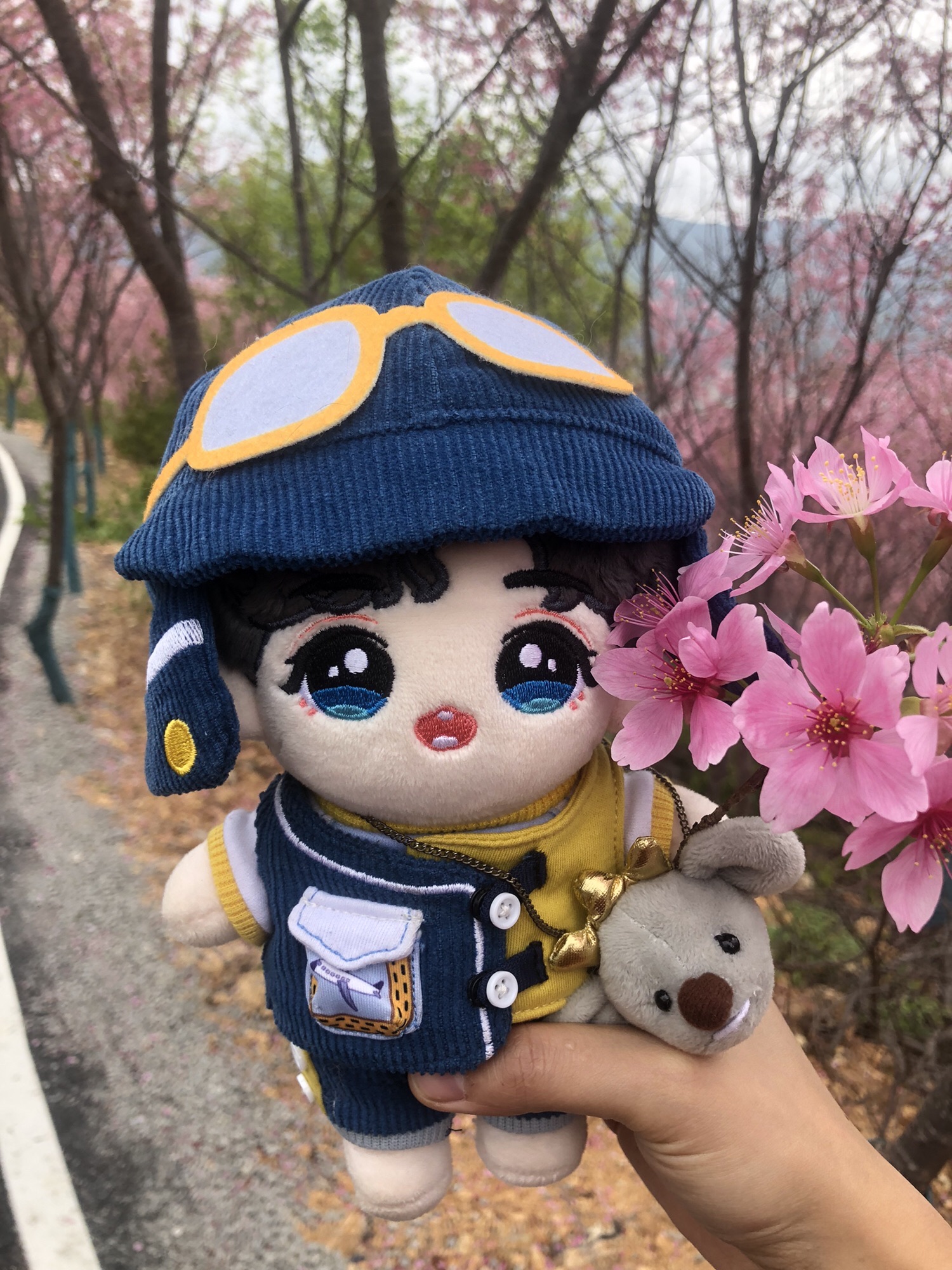 清流赖坊樱花园旅行图片 3