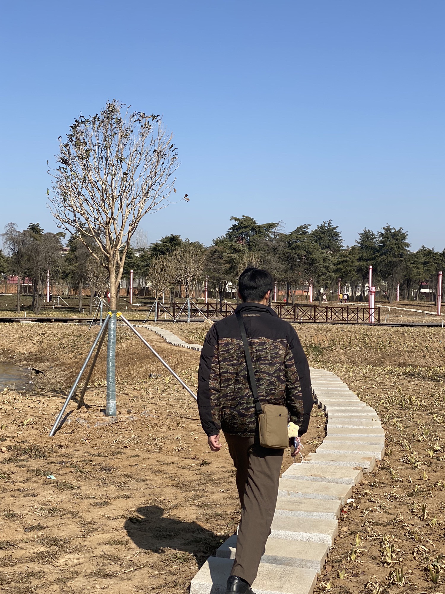 南环湿地公园旅行图片 2