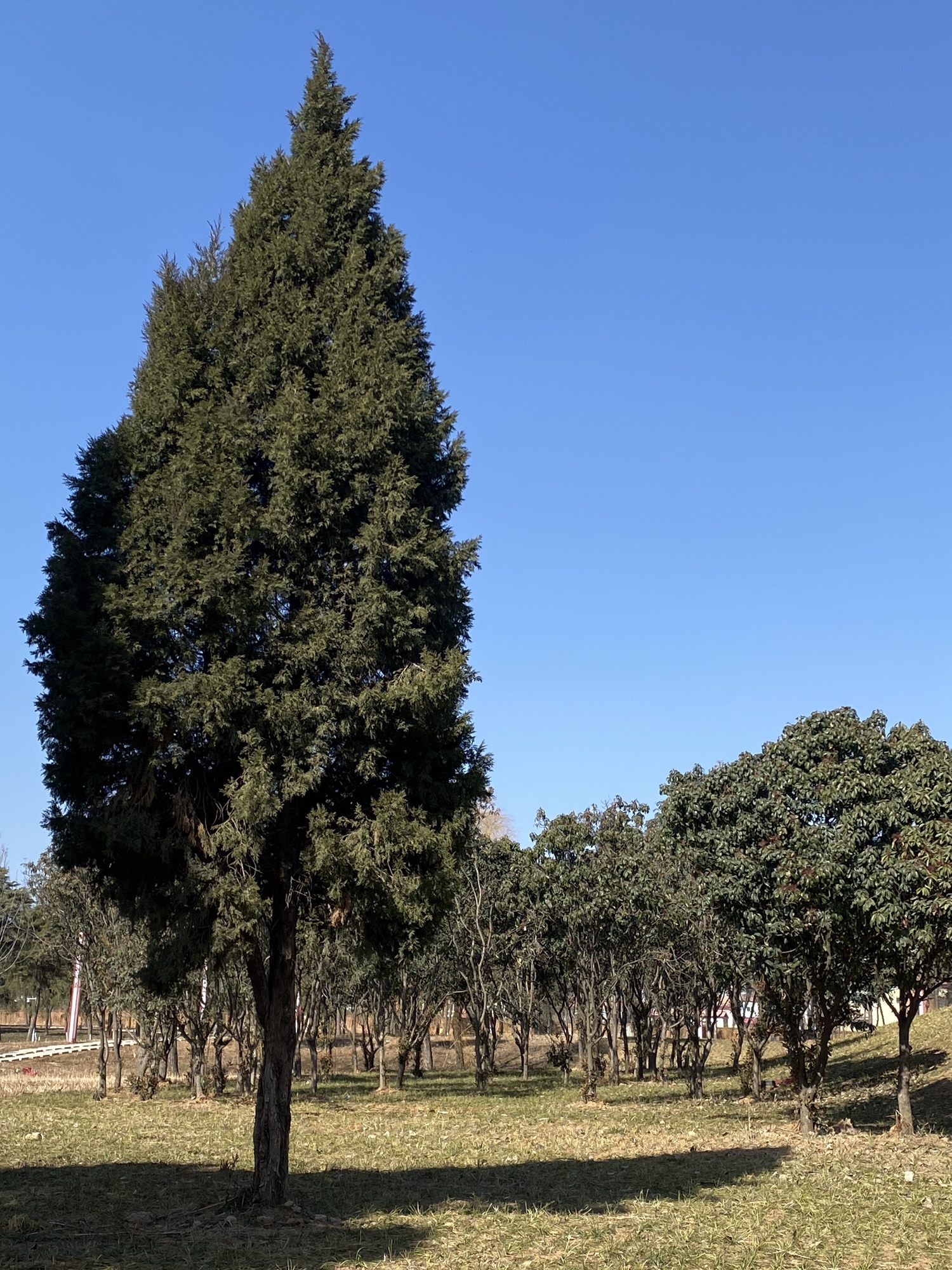 南环湿地公园旅行图片 1