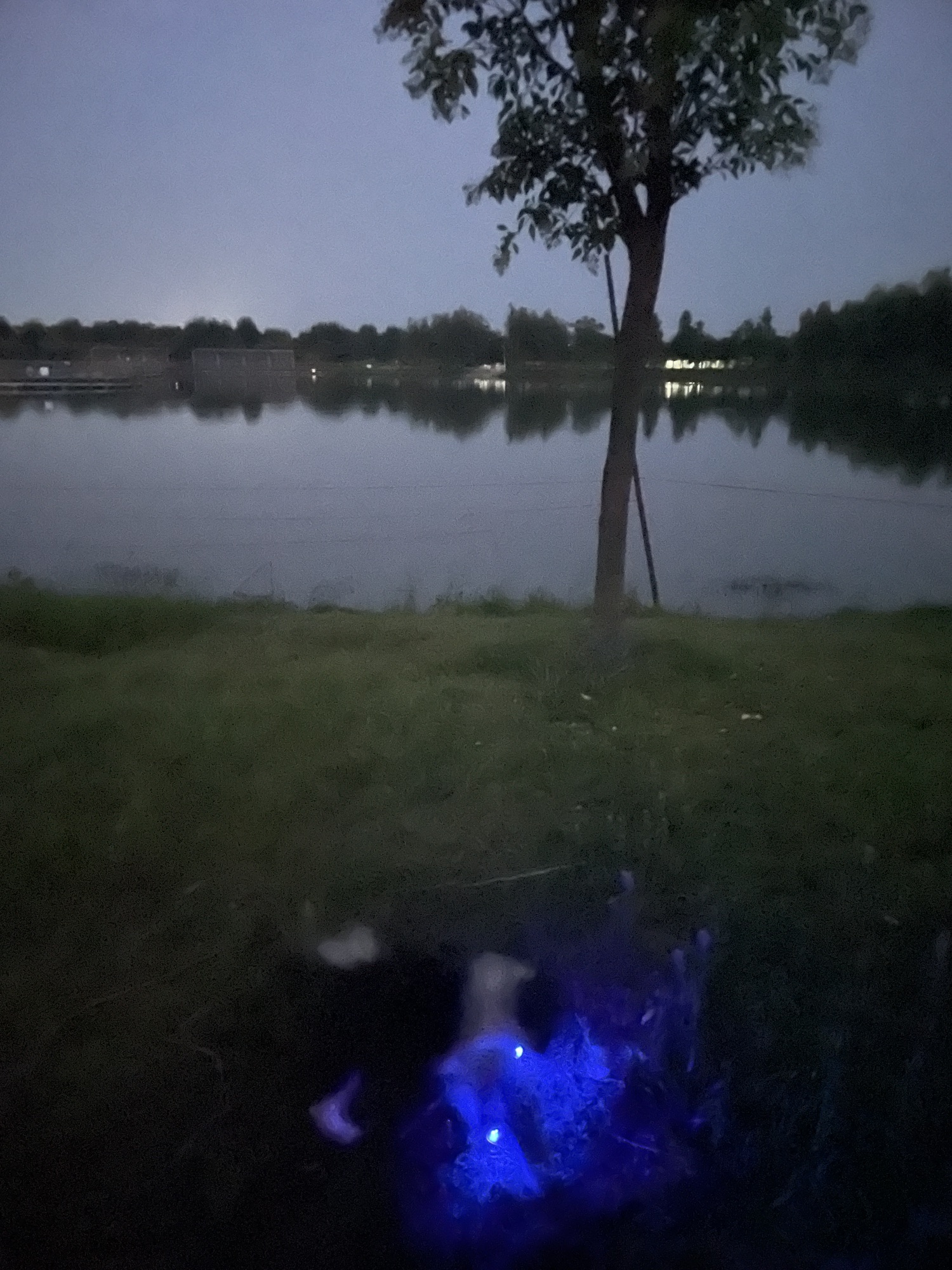南环湿地公园旅行图片 1
