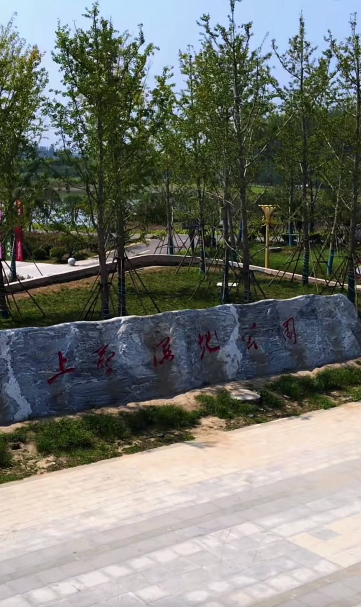 南环湿地公园旅行图片 2