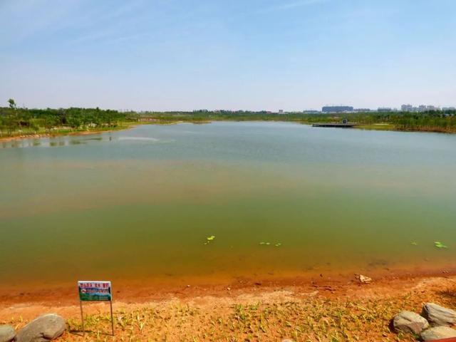 南环湿地公园旅行图片 1
