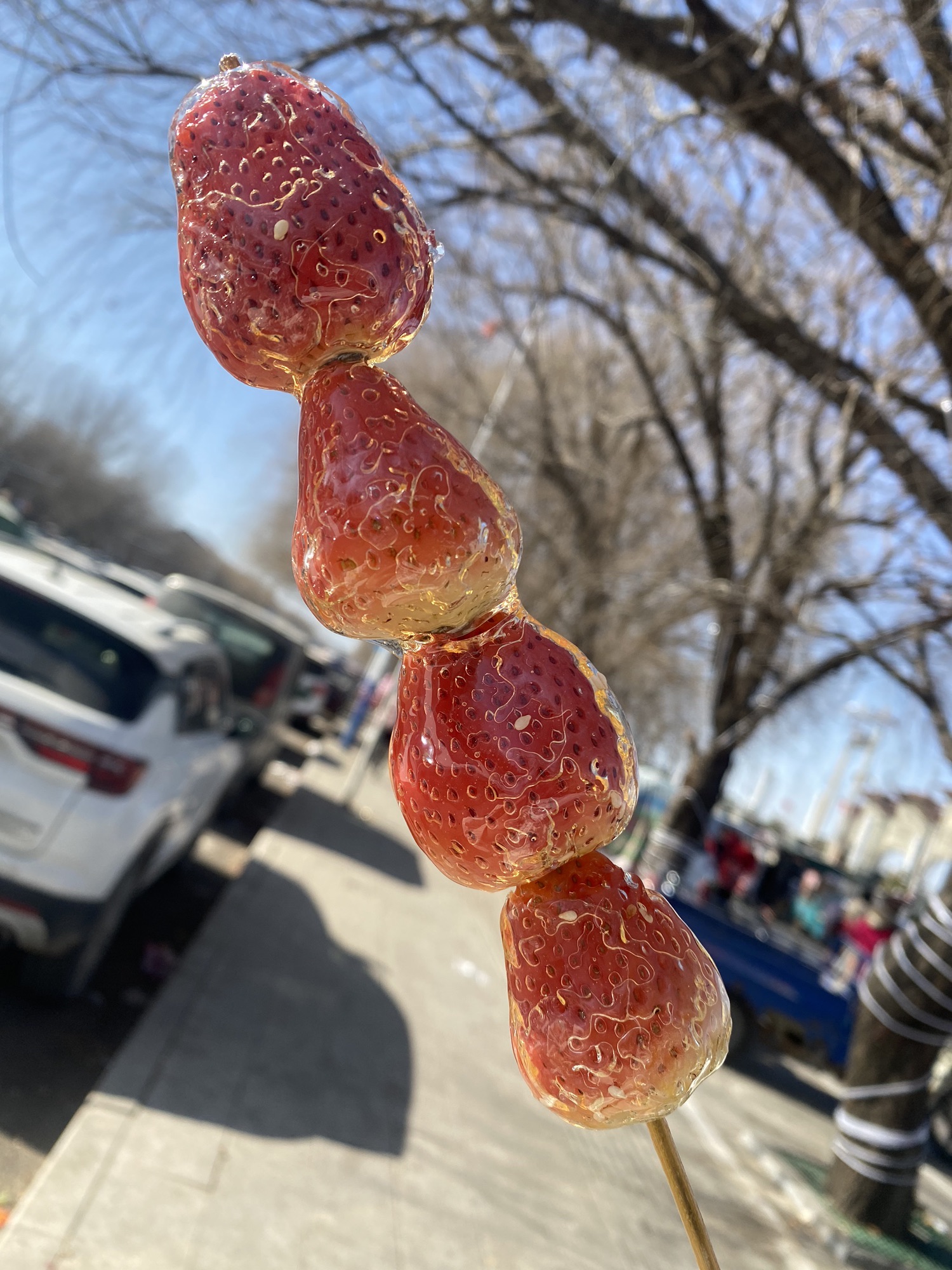 南环湿地公园旅行图片 3