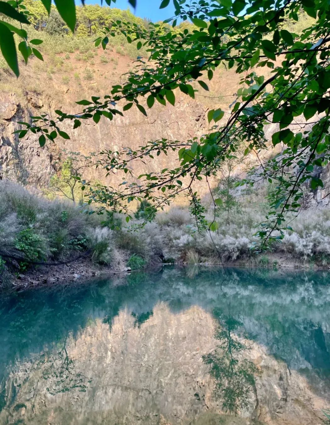 魅力湖旅行图片 1